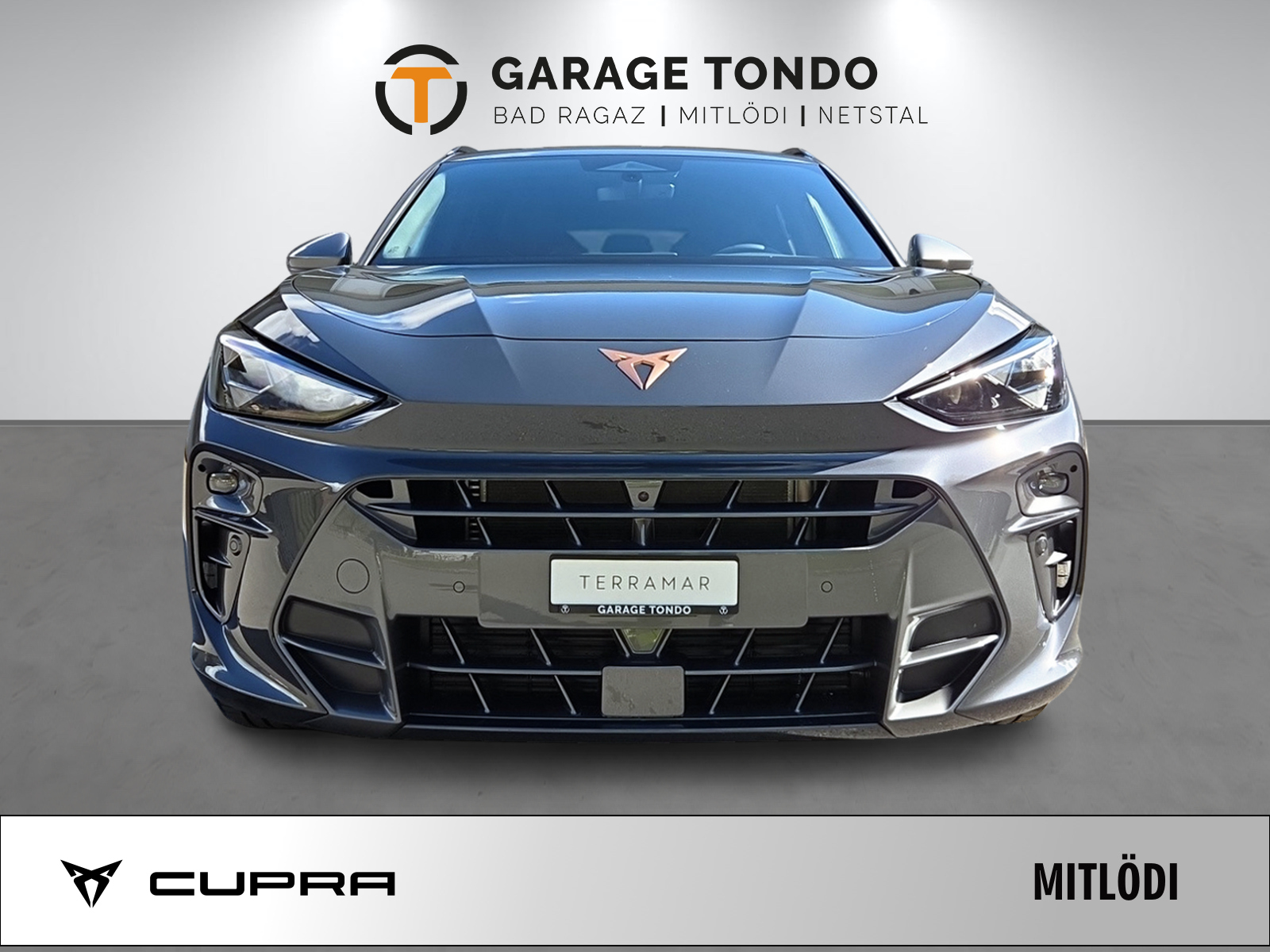 CUPRA Terramar 2.0 TSI Prime Edition 4Drive DSG-image-1