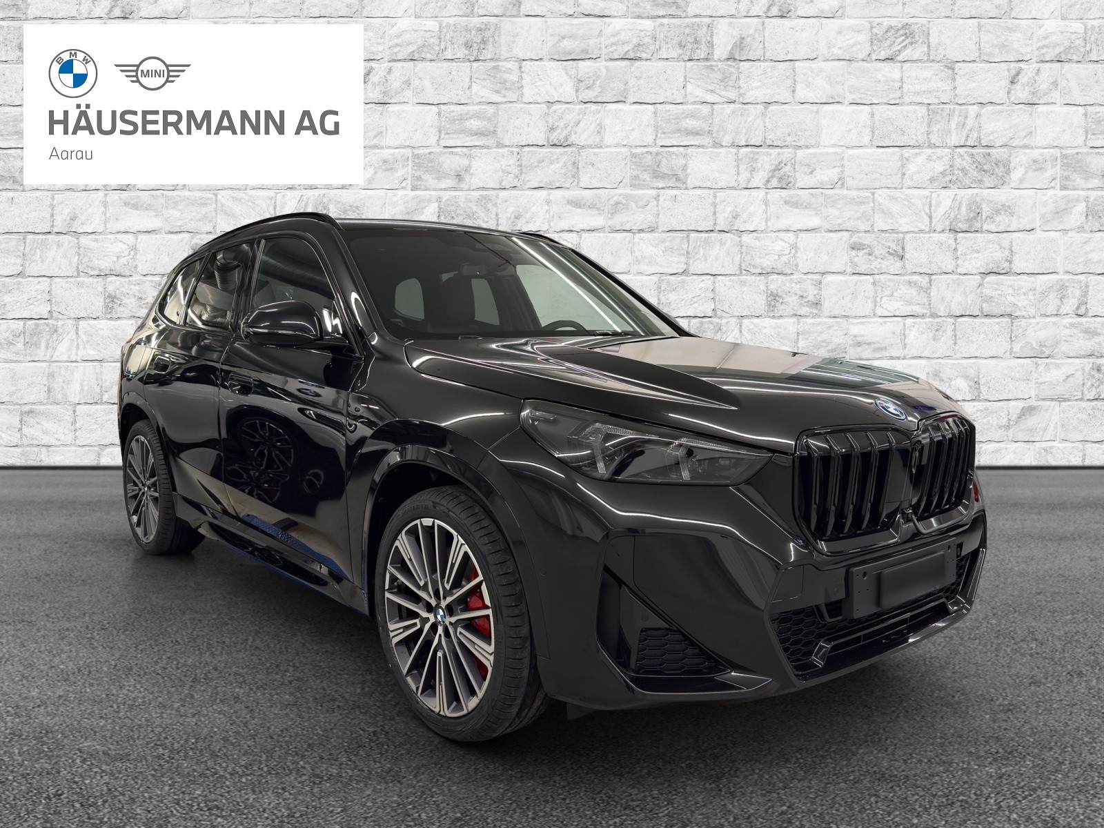 BMW X1 xDrive 30e M Sport Pro-image-2