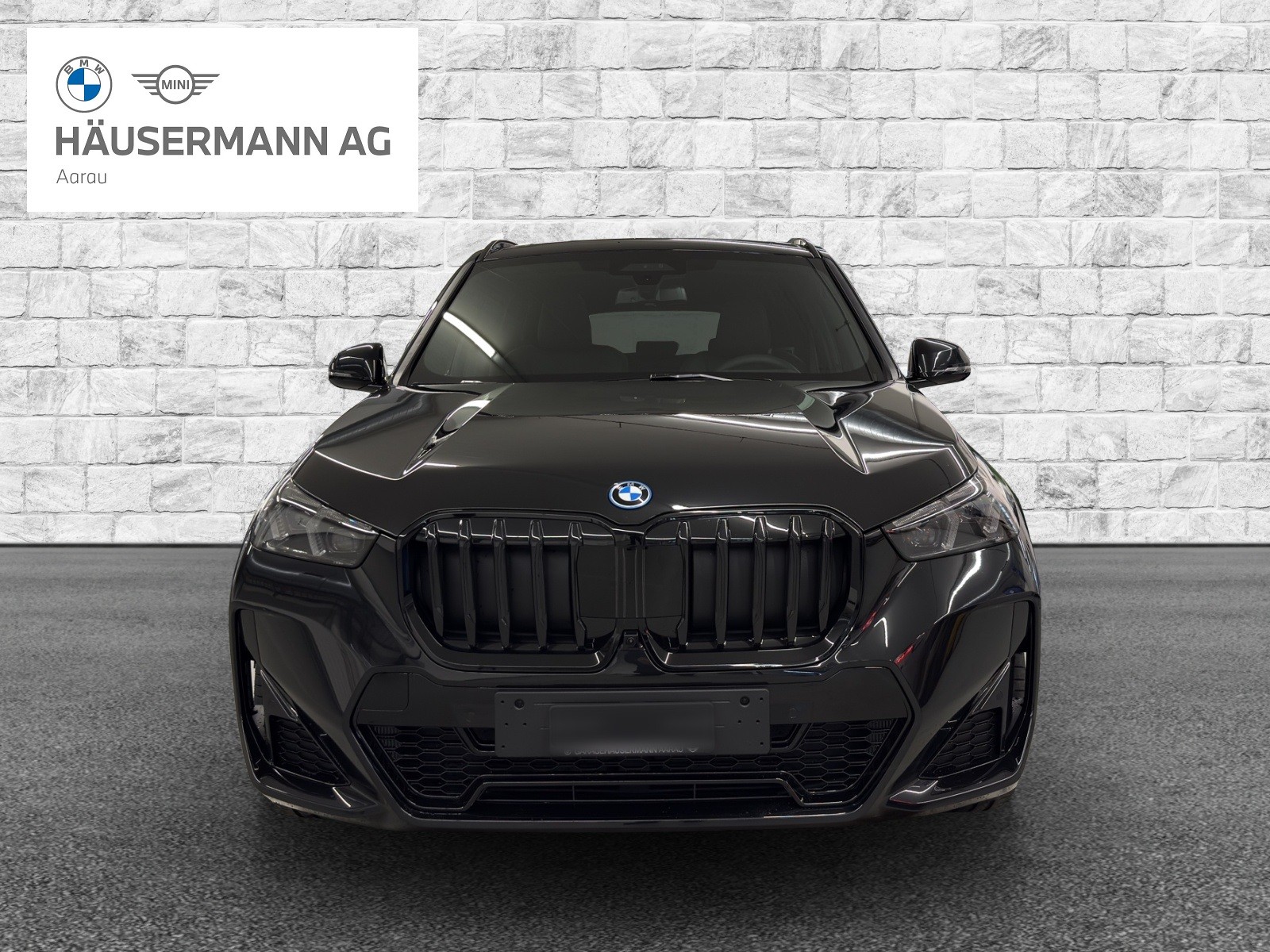 BMW X1 xDrive 30e M Sport Pro-image-1