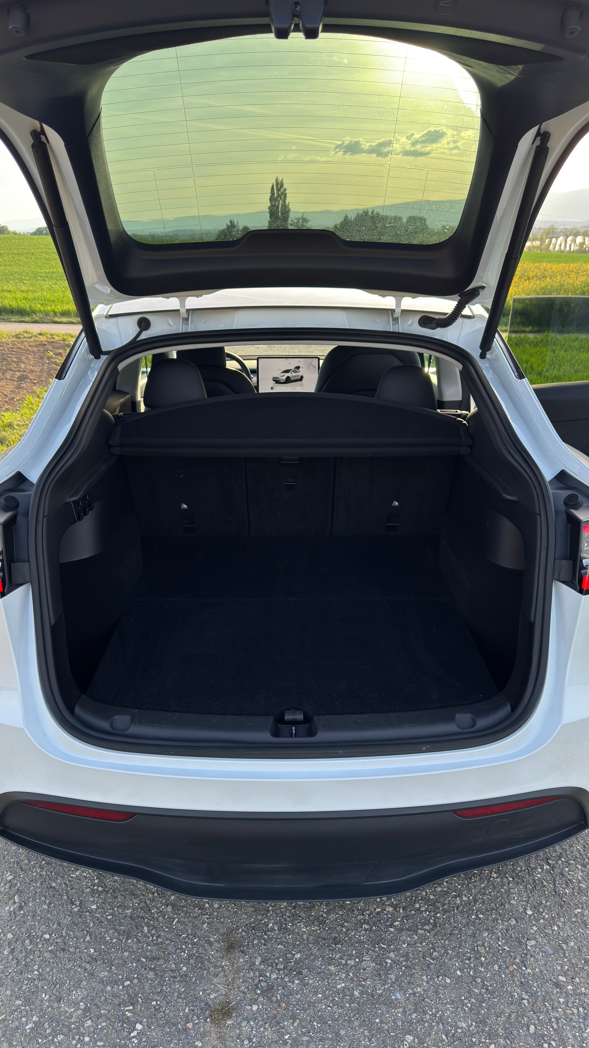 TESLA Model Y RWD-image-8