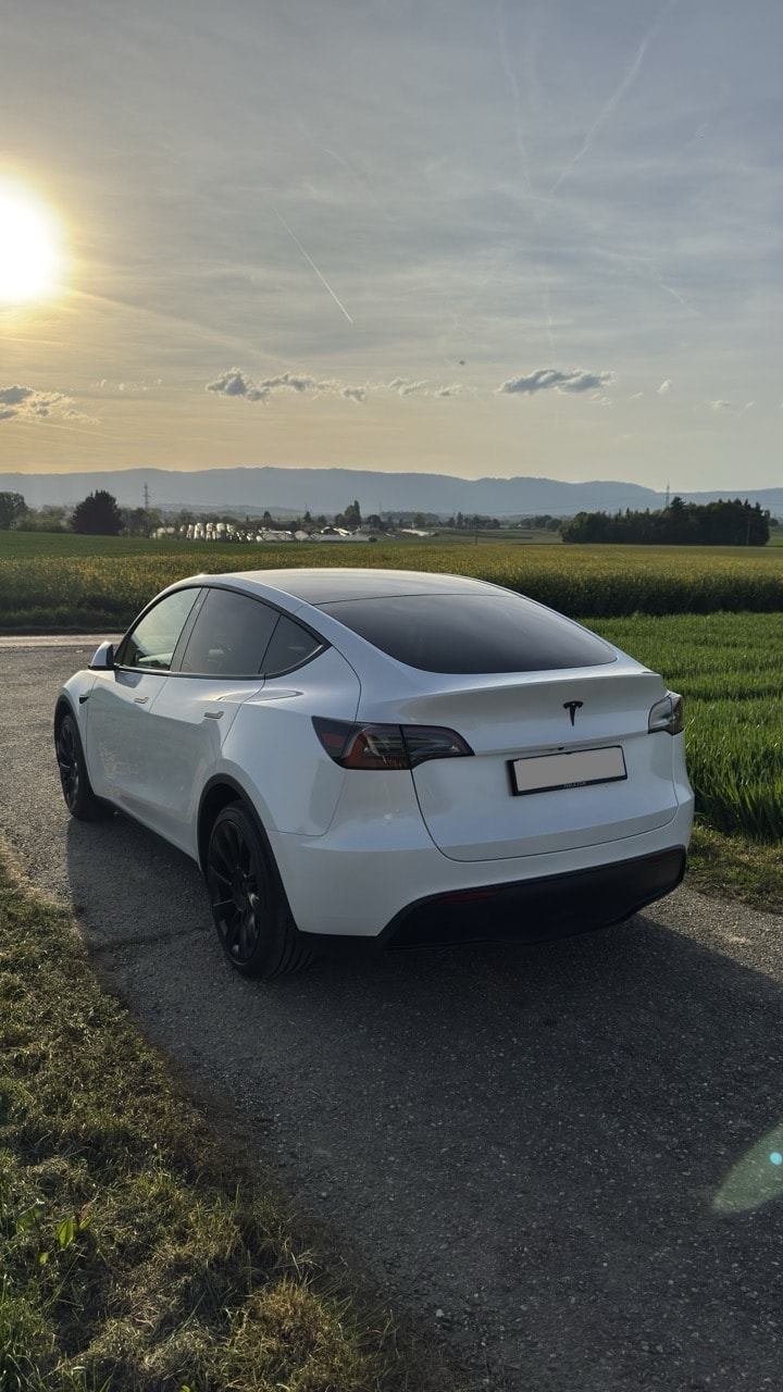 TESLA Model Y RWD-image-2