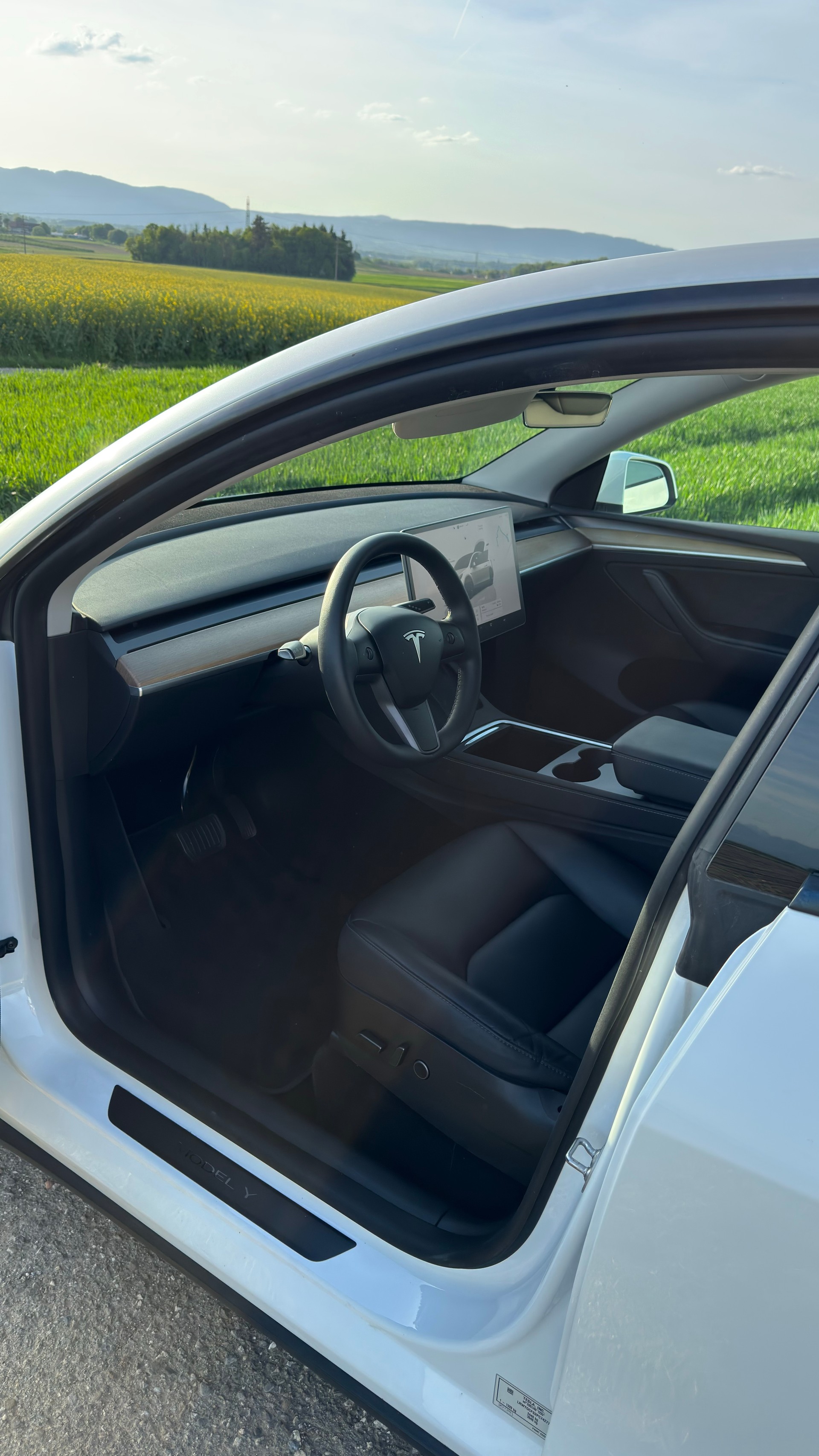 TESLA Model Y RWD-image-10