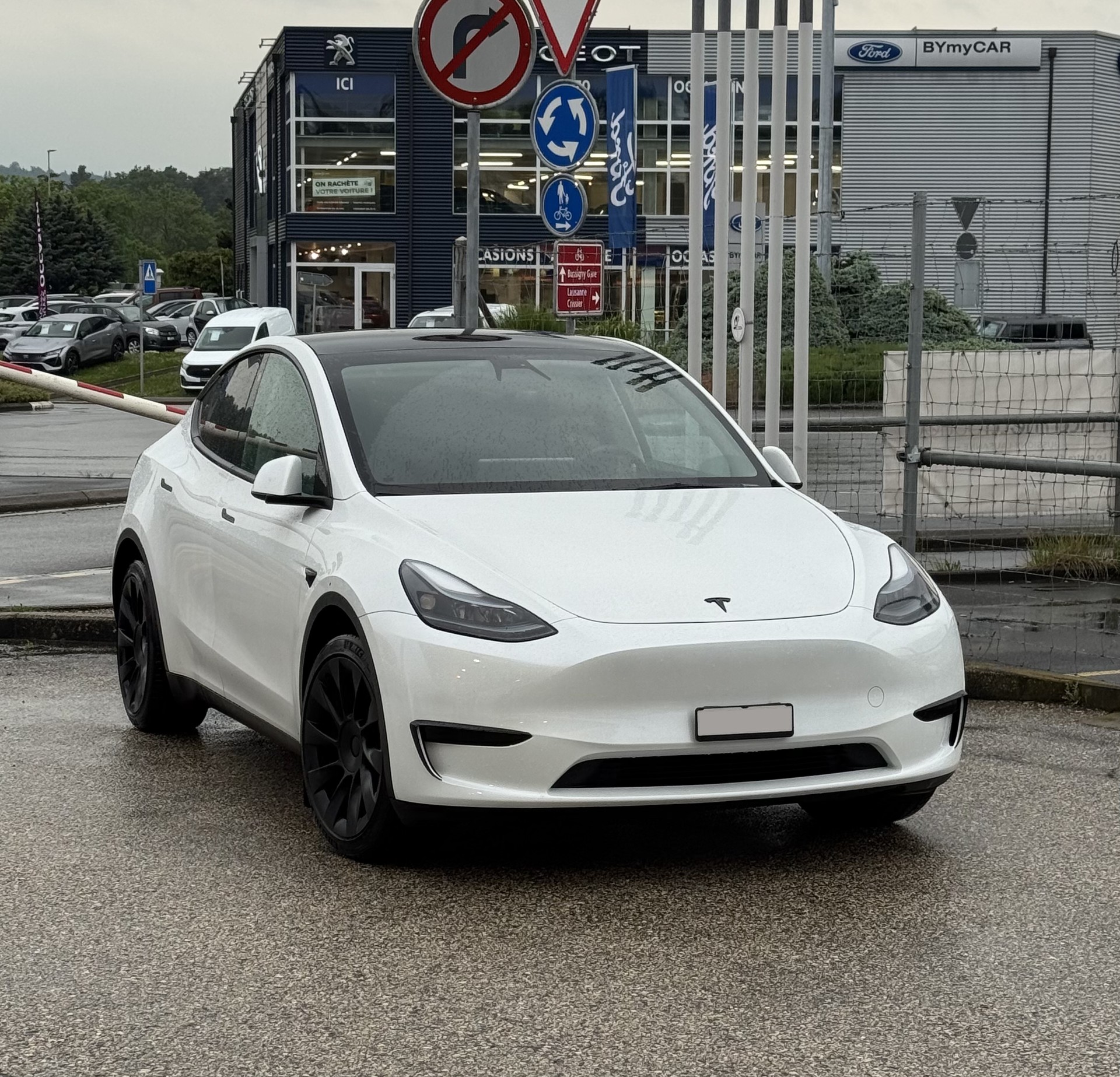 TESLA Model Y RWD