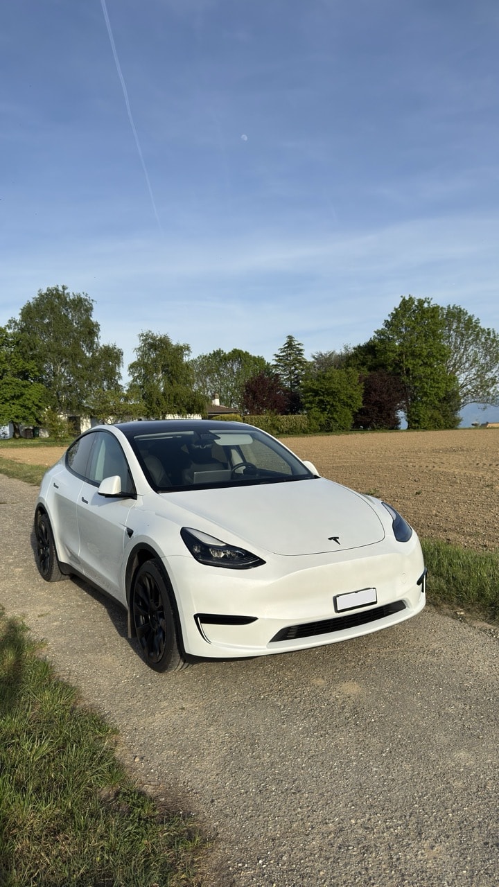 TESLA Model Y RWD-image-7