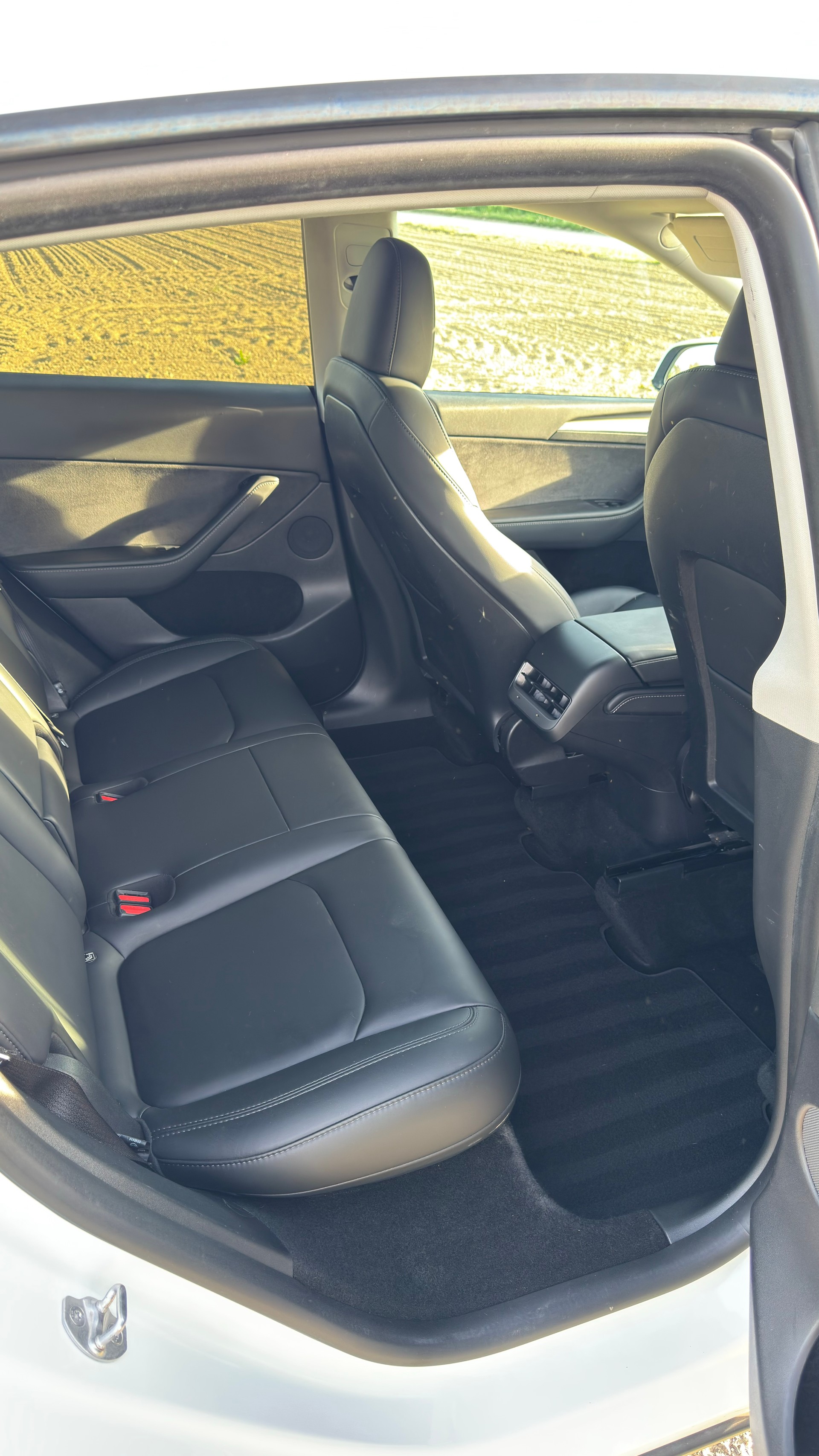 TESLA Model Y RWD-image-4