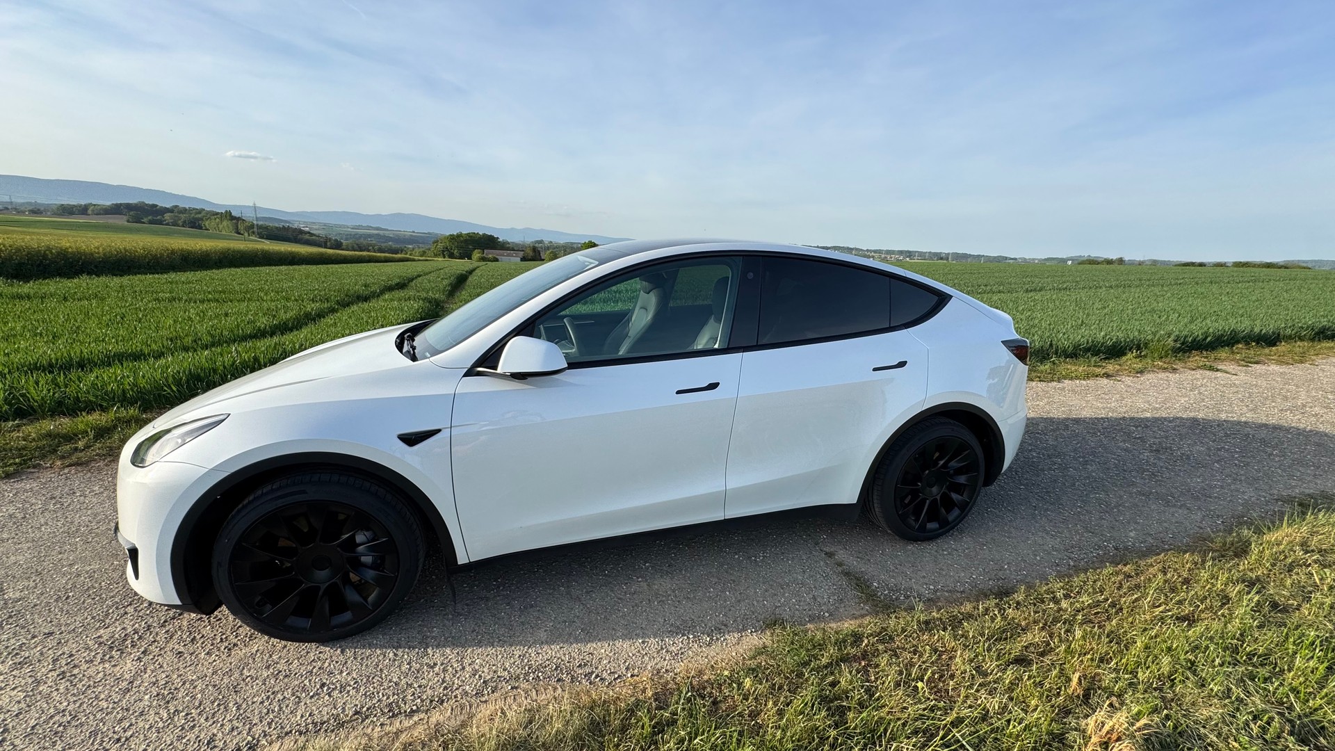 TESLA Model Y RWD-image-1