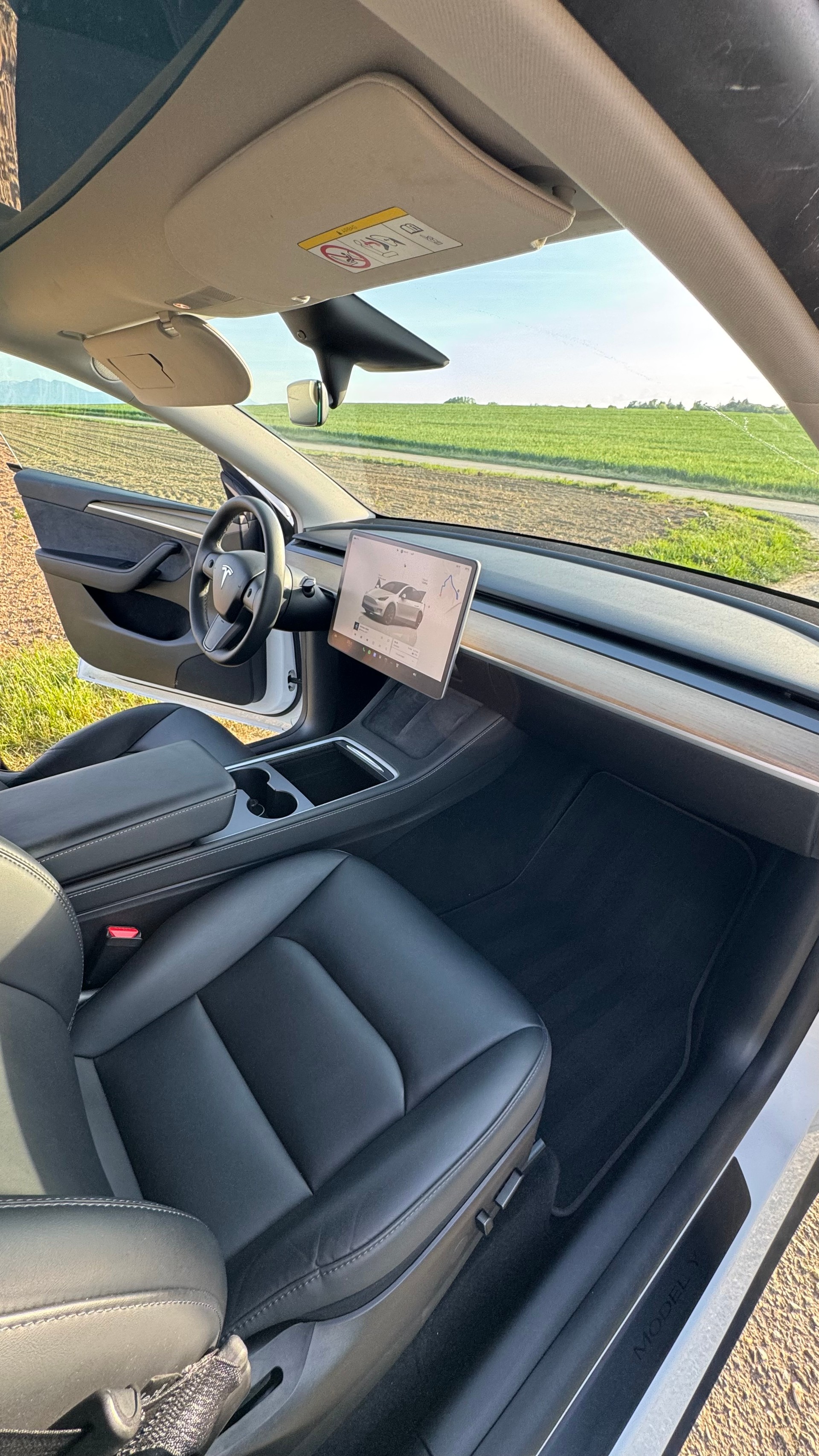 TESLA Model Y RWD-image-9