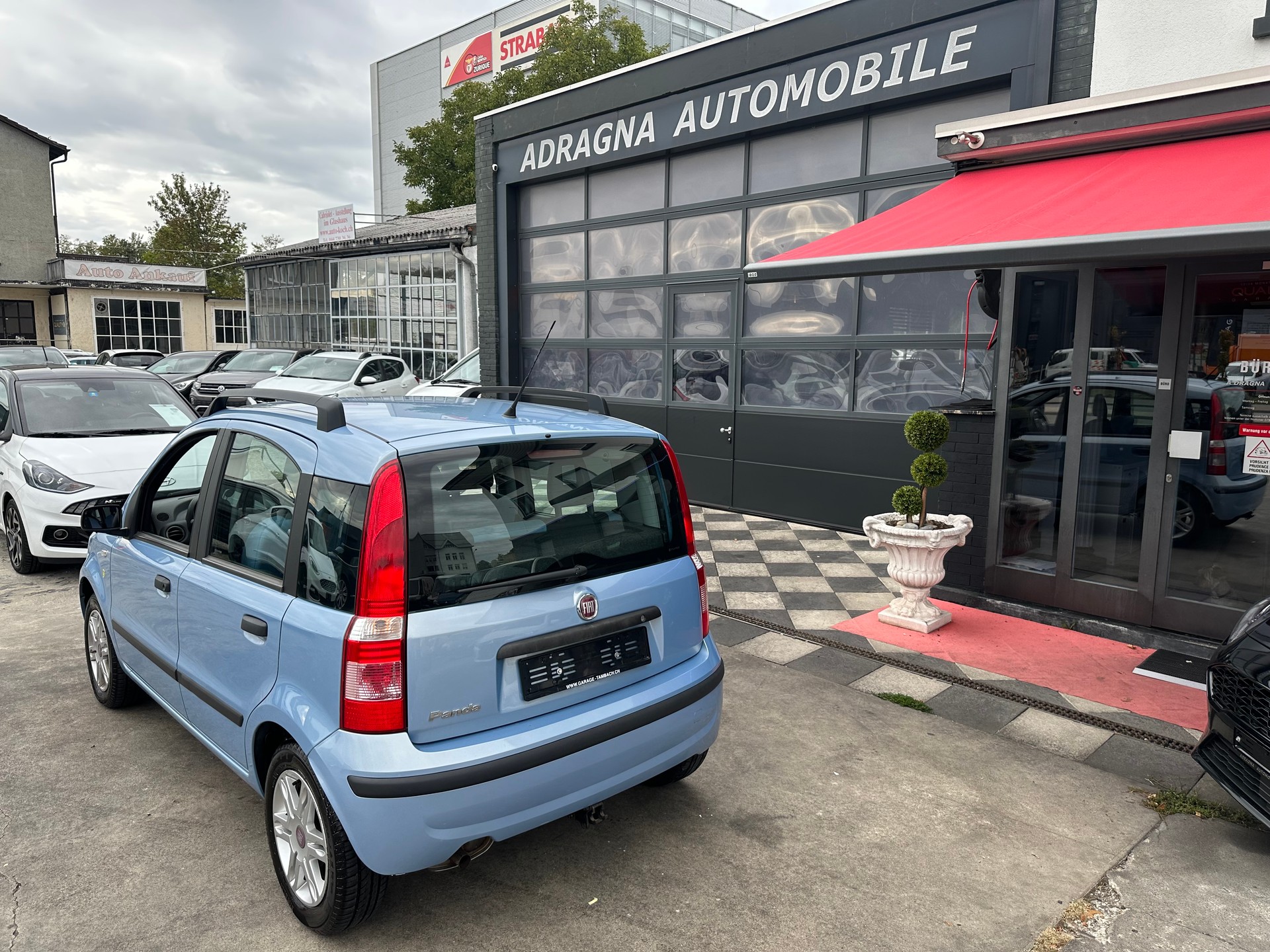 FIAT Panda 1.2 Dynamic plus-image-7