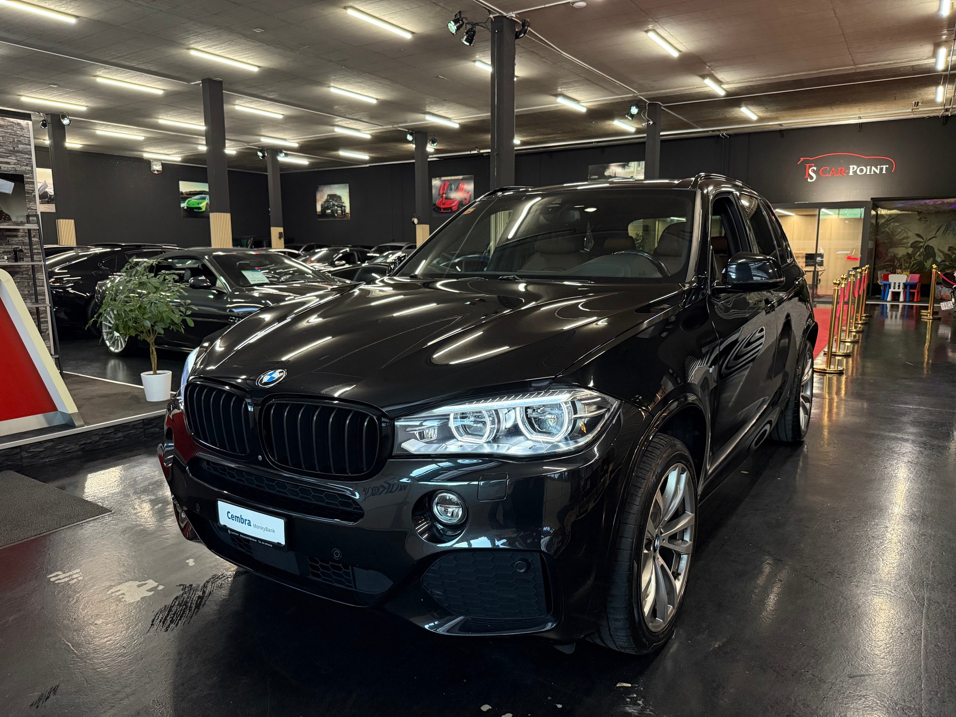 BMW X5 xDrive 30d Steptronic-image-23