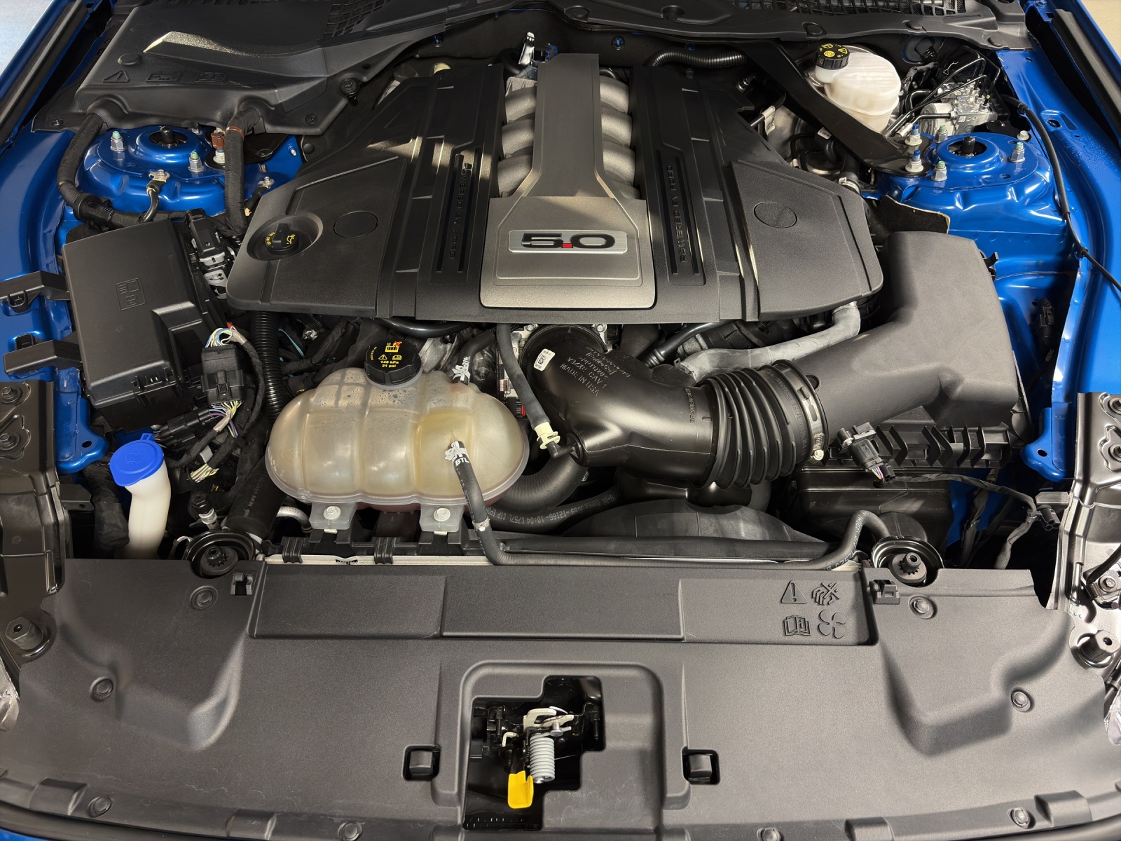 FORD Mustang FB 5.0 V8 GT-image-17
