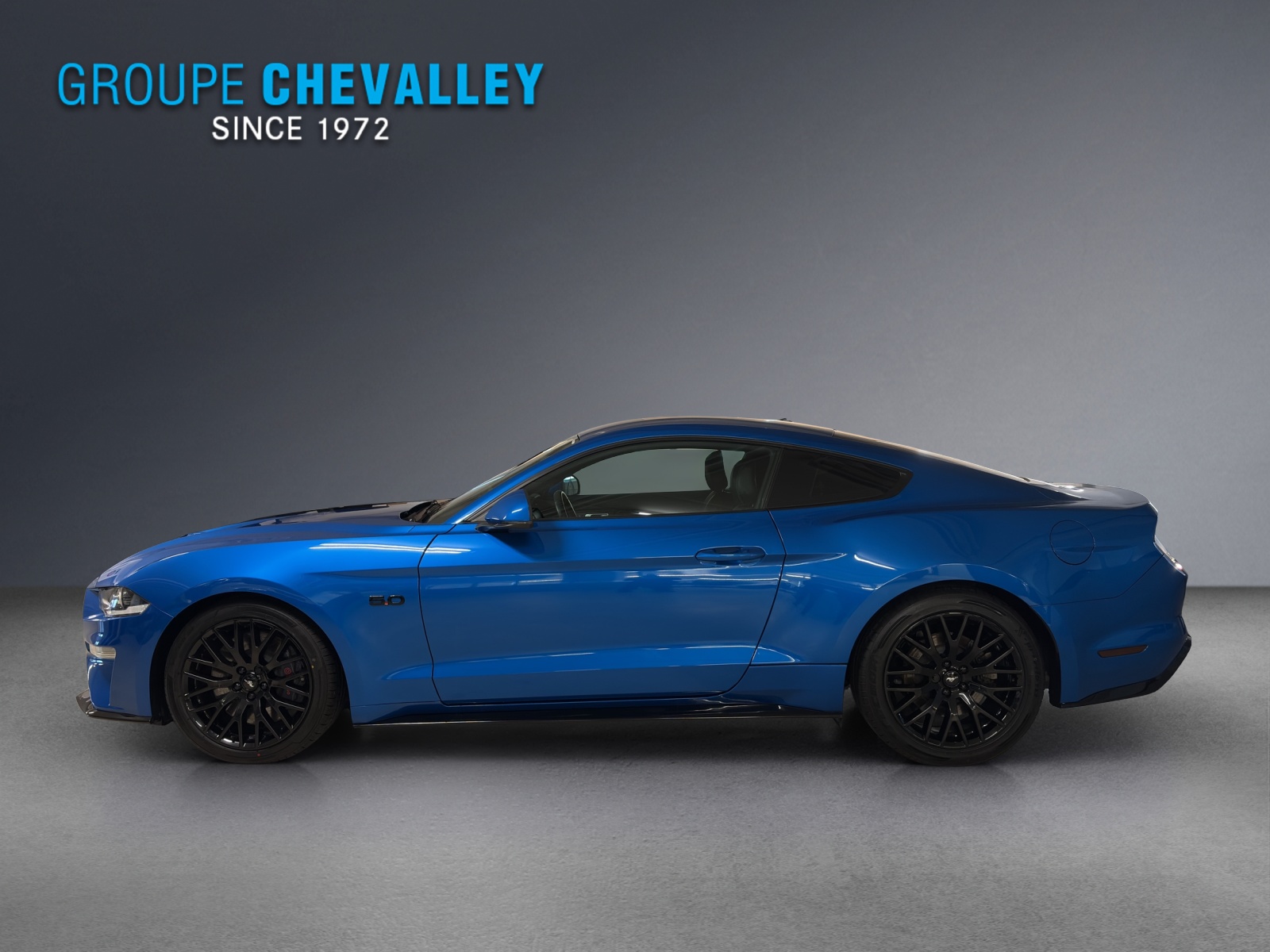 FORD Mustang FB 5.0 V8 GT-image-2