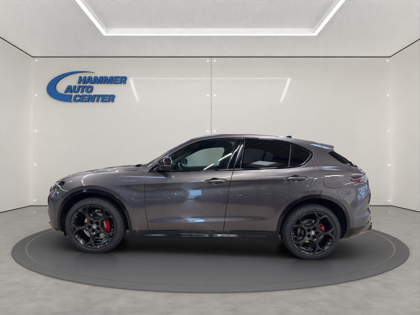 ALFA ROMEO Stelvio 2.0 Q4 280 Veloce-image-5