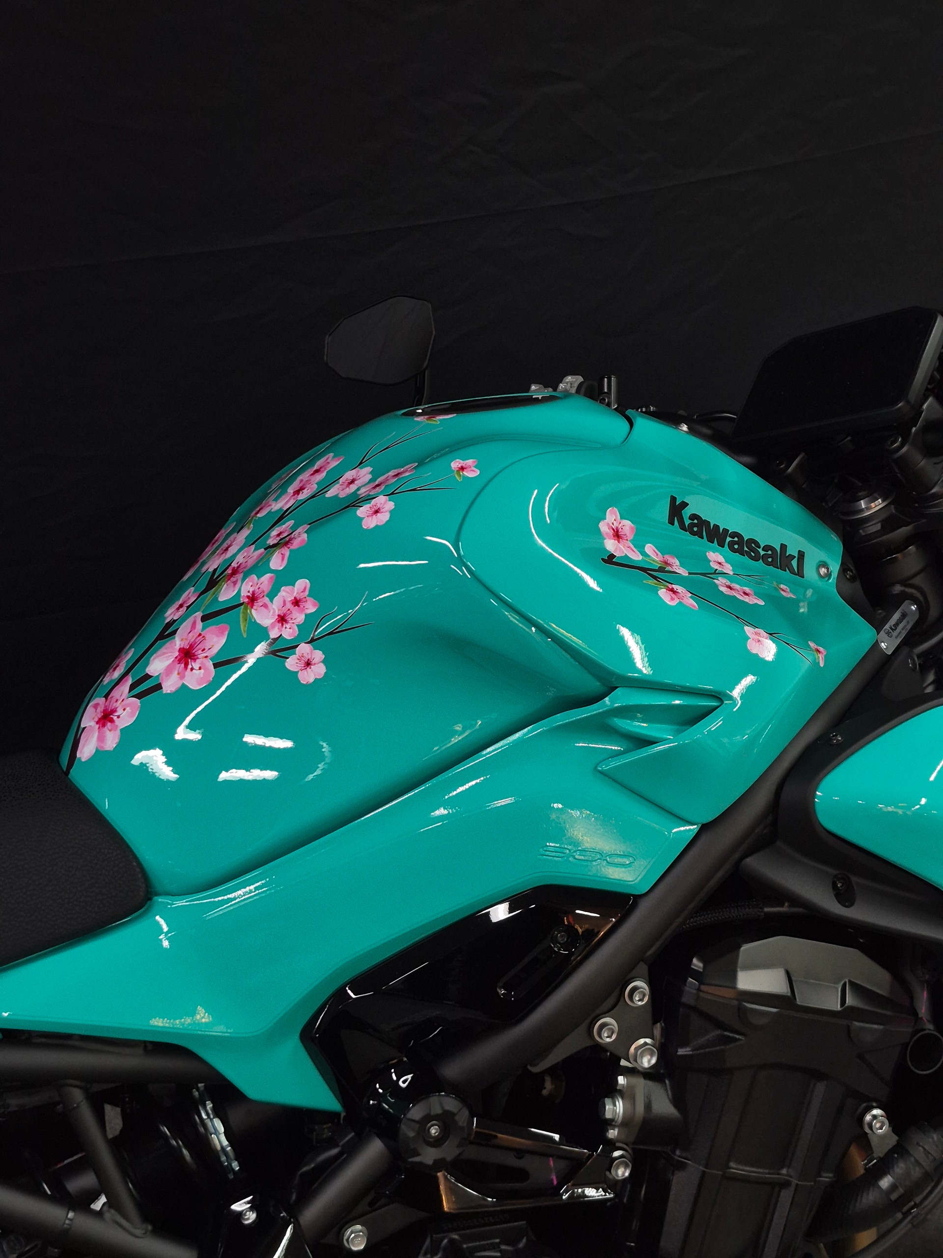 KAWASAKI Z 900 (70kW)-image-7