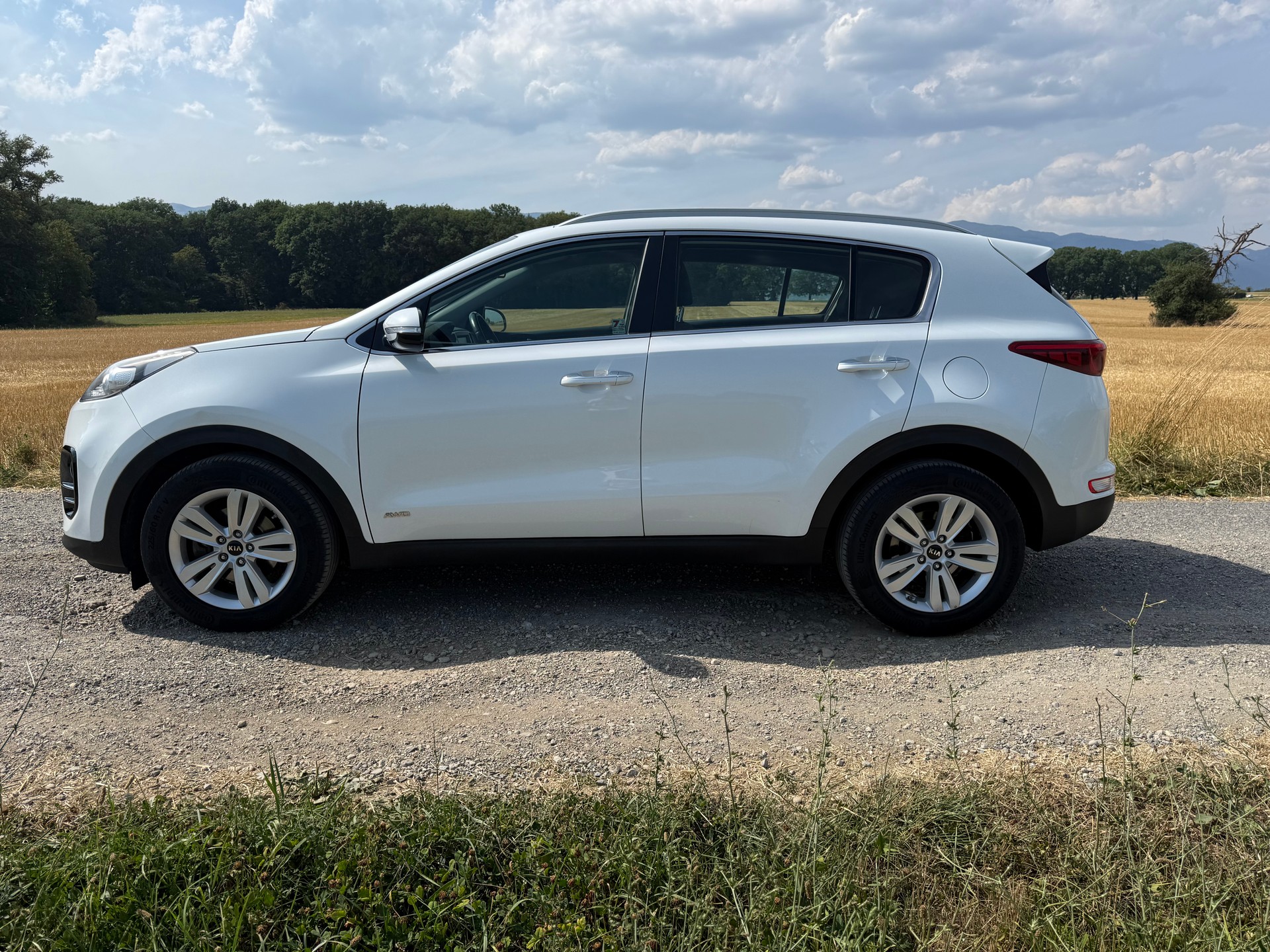 KIA Sportage 1.6 T-GDi Trend 4WD Automat-image-7