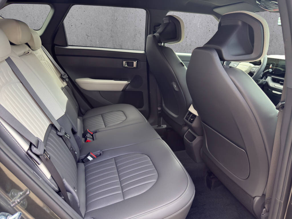 KIA Seltos 1.6 T-GDi GT-Line-image-13