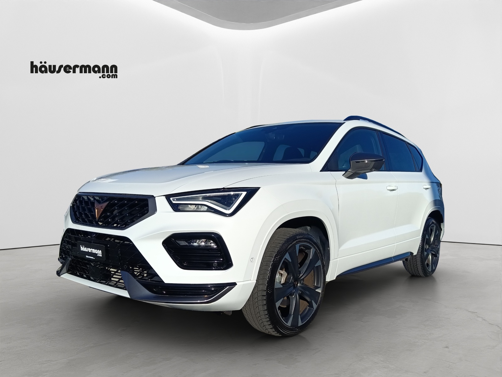 CUPRA Ateca 2.0 TSI 4Drive DSG-image-0