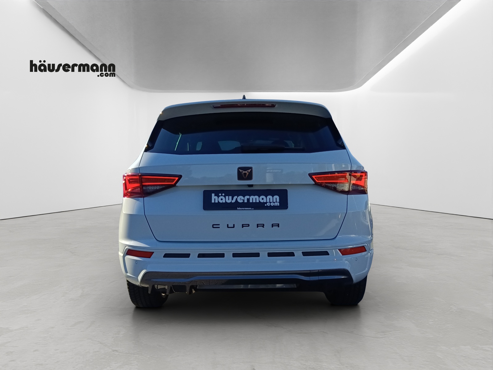 CUPRA Ateca 2.0 TSI 4Drive DSG-image-13