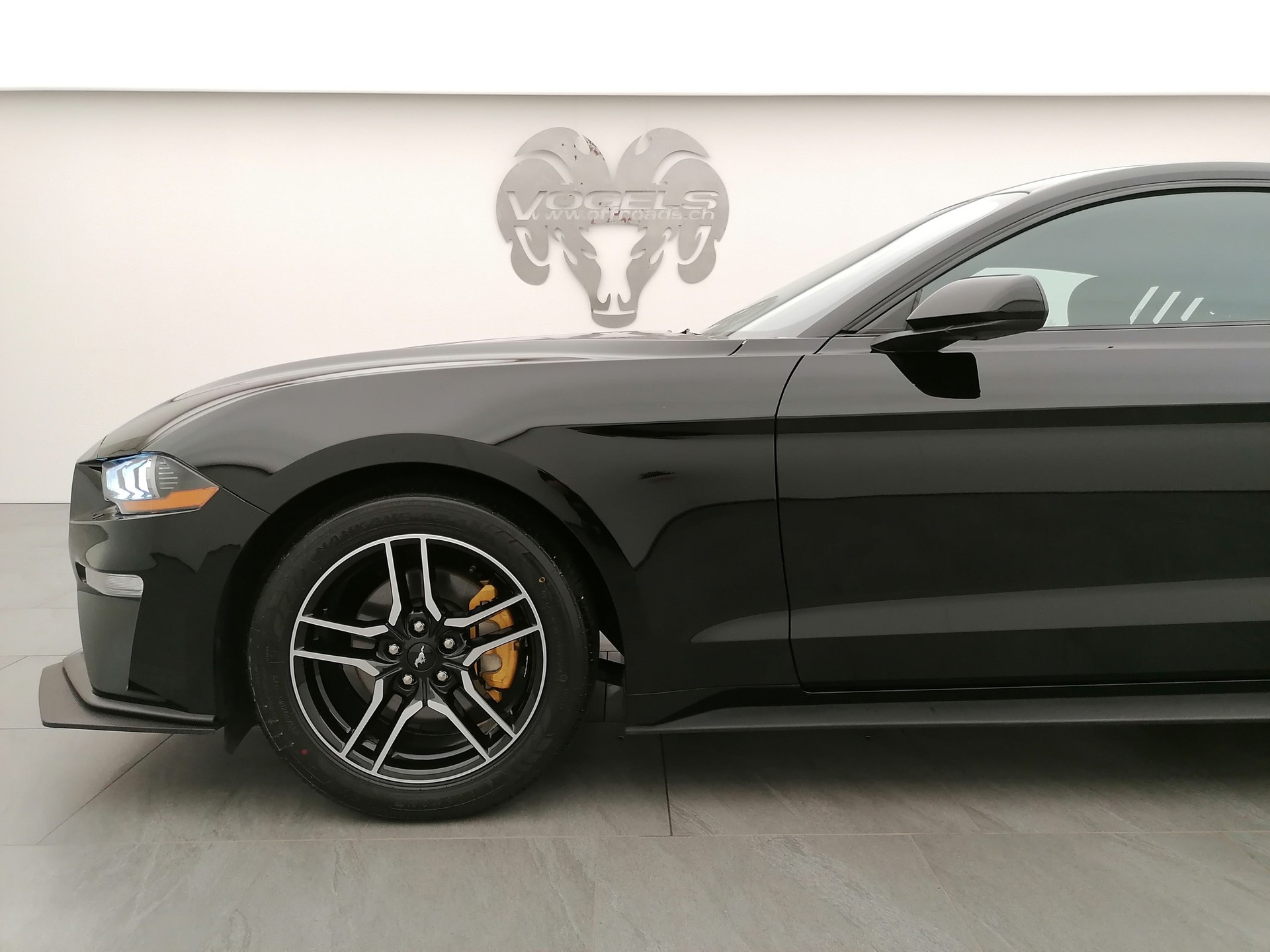 FORD Mustang 2.3 Ecoboost-image-6