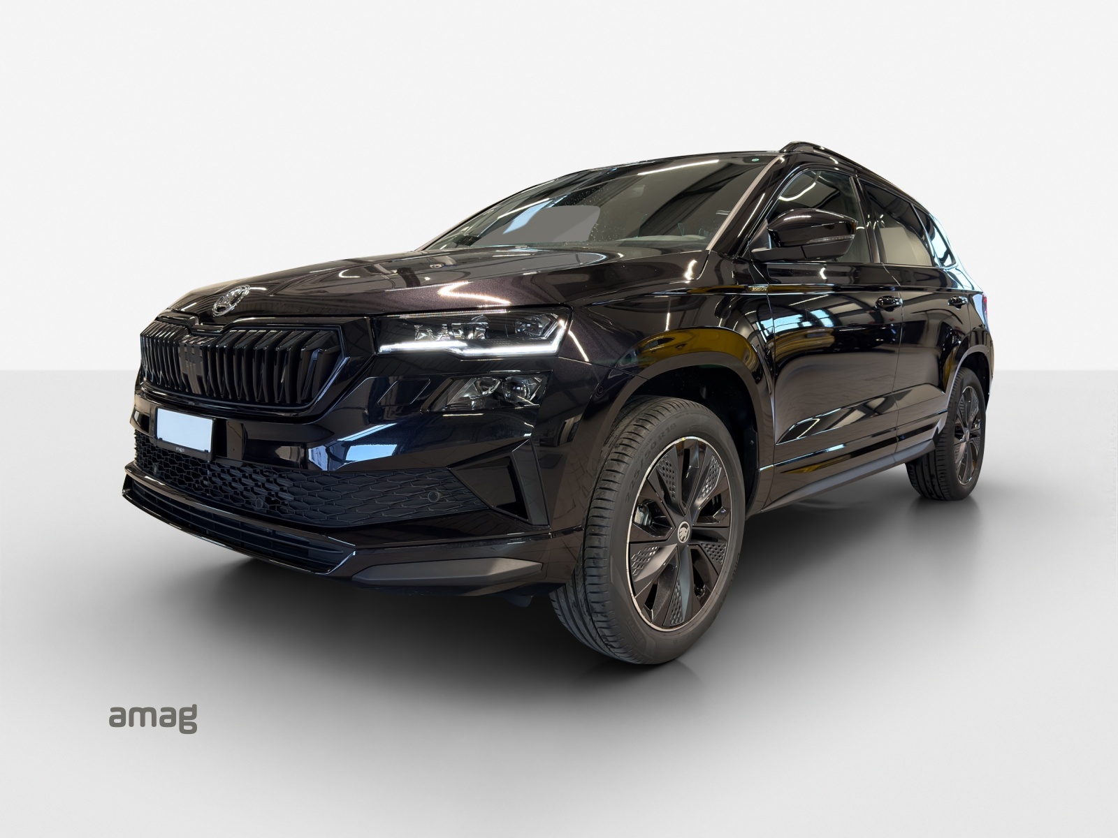 SKODA Karoq 2.0 TSI SportLine 4x4 DSG-image-0