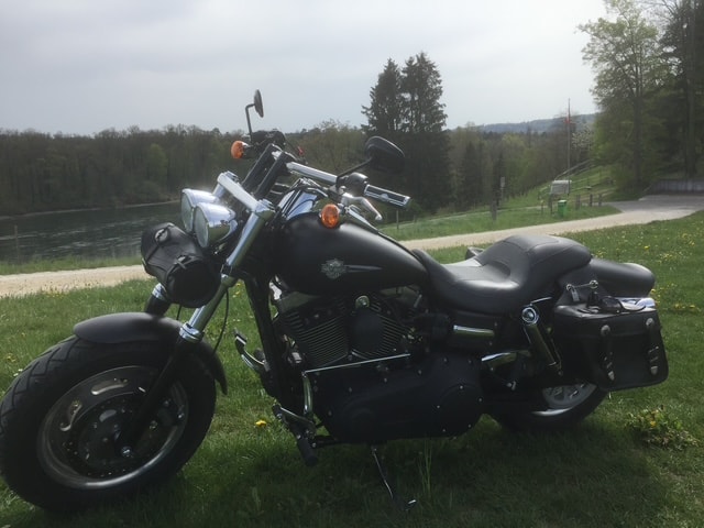 HARLEY-DAVIDSON FXDF Dyna Fat Bob-image-5