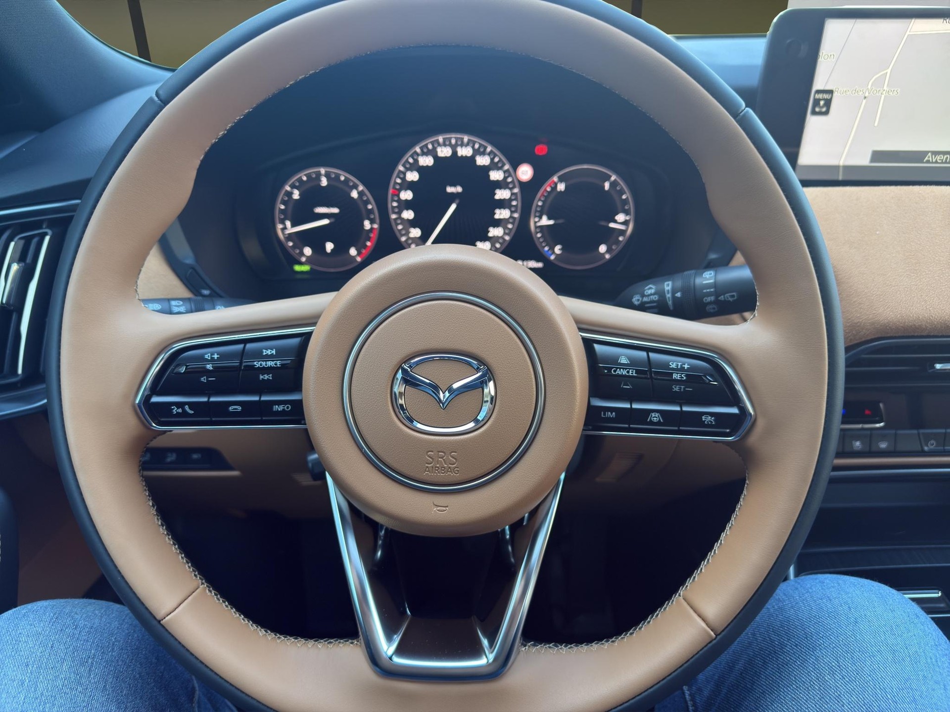 MAZDA CX-60 3.3 D Homura Plus-image-9
