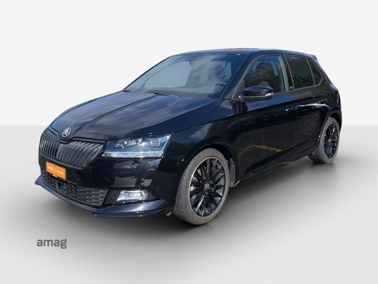 SKODA Fabia 1.0 TSI Monte Carlo DSG-image-0