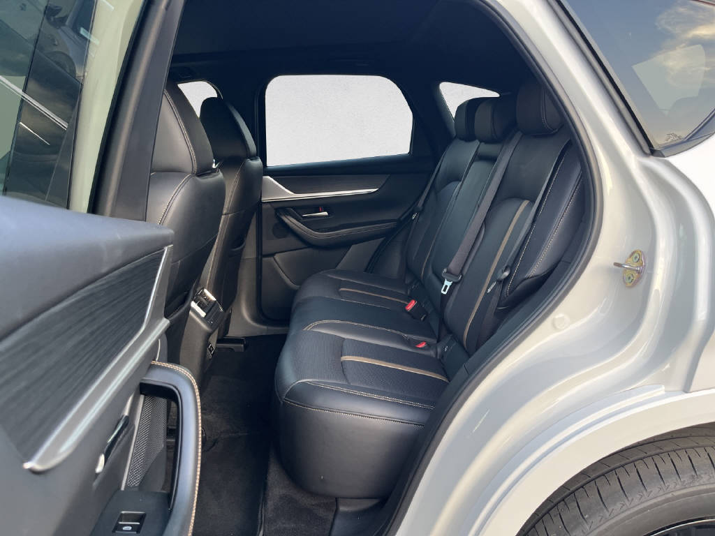 MAZDA CX-60 3.3 D Homura Plus-image-13