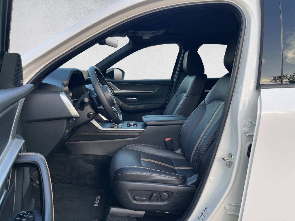 MAZDA CX-60 3.3 D Homura Plus-image-8