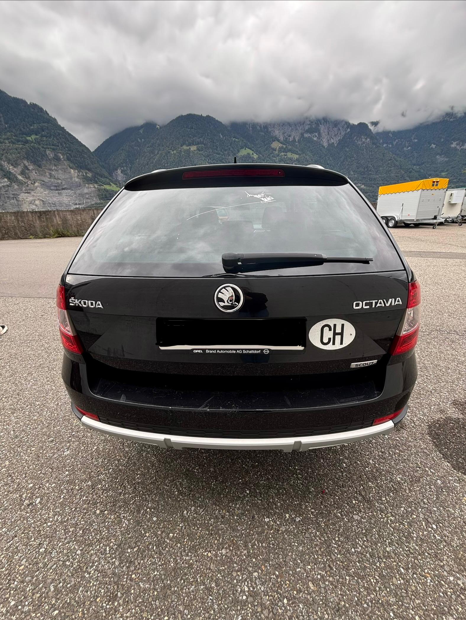 SKODA 2.0 TDI 184 4x4 DSG Scout-image-2