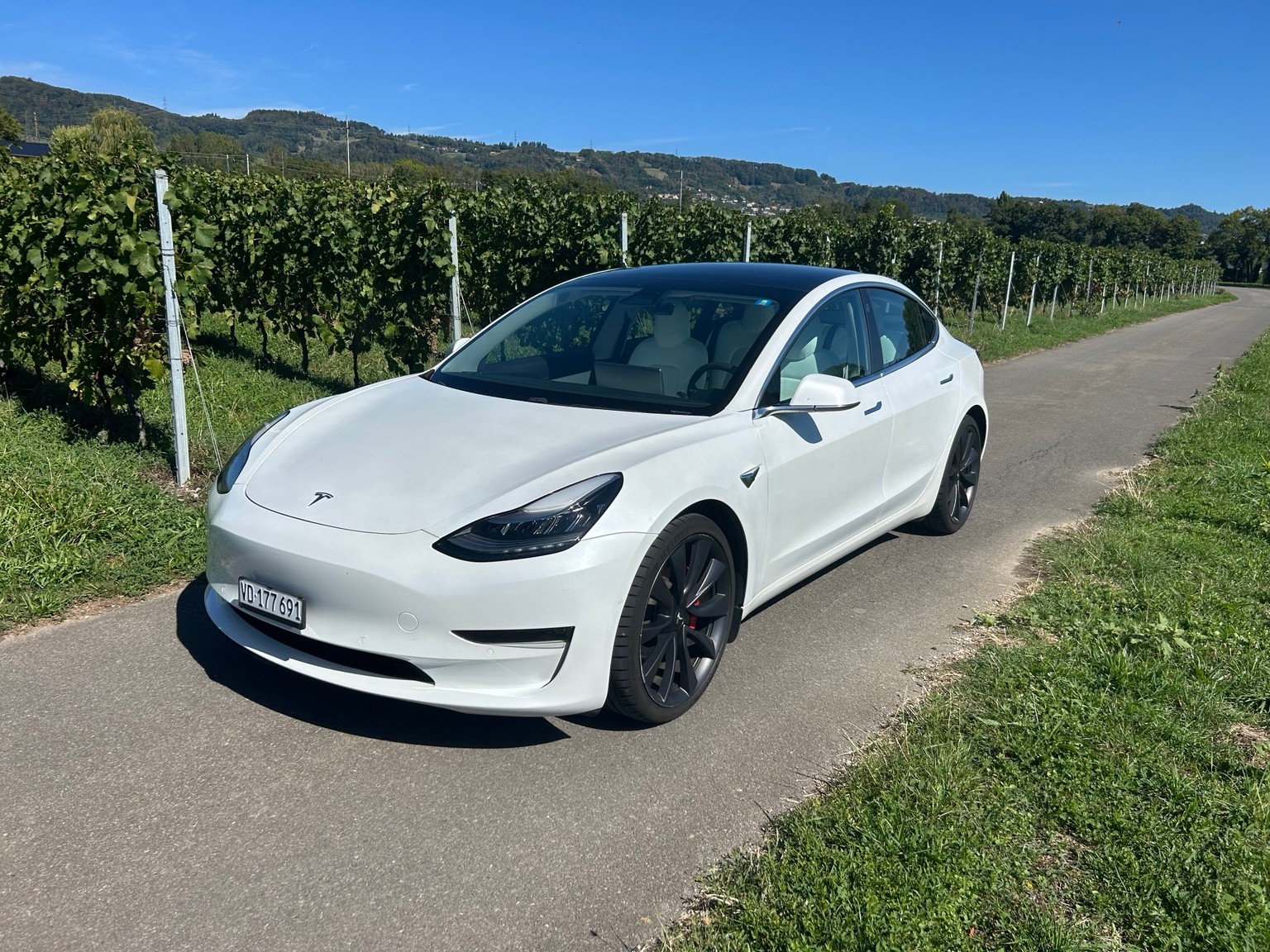 TESLA Performance Dual Motor AWD / FSD-image-0