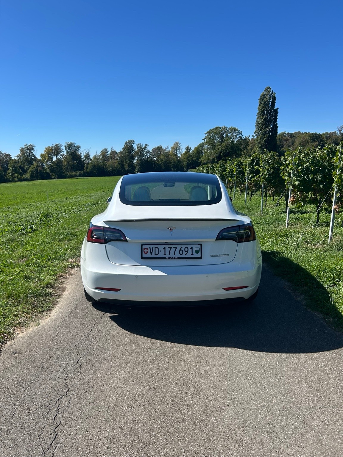 TESLA Performance Dual Motor AWD / FSD-image-4
