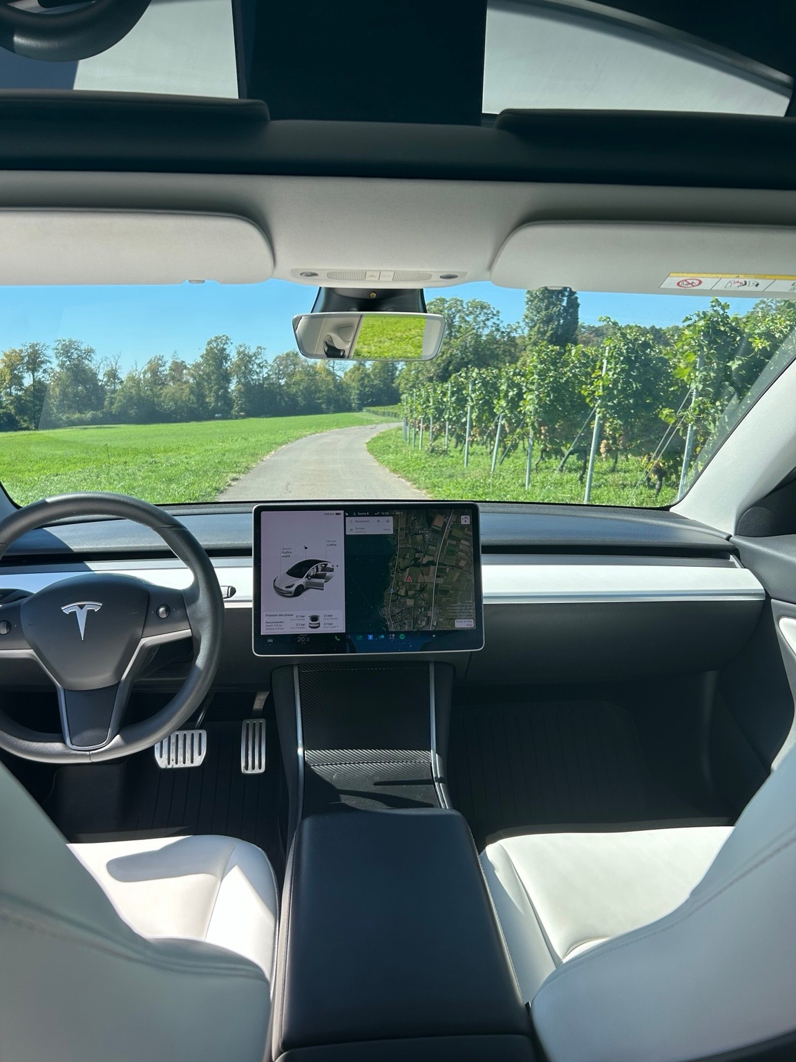 TESLA Performance Dual Motor AWD / FSD-image-5