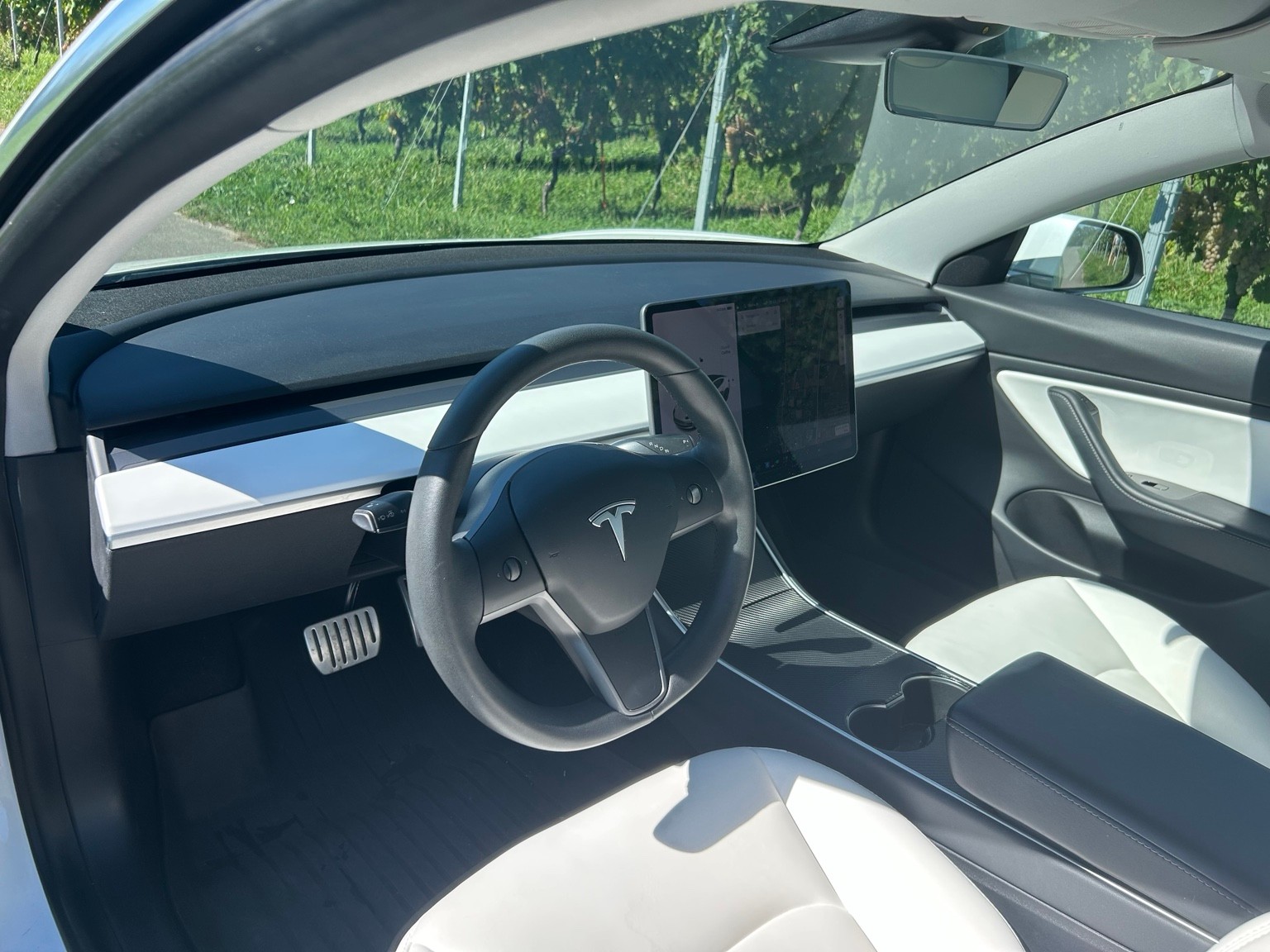 TESLA Performance Dual Motor AWD / FSD-image-6