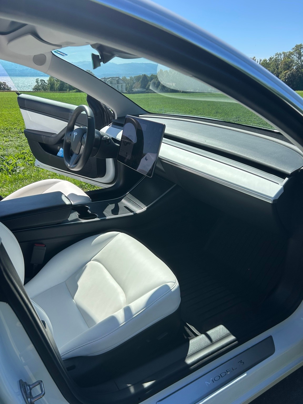 TESLA Performance Dual Motor AWD / FSD-image-7