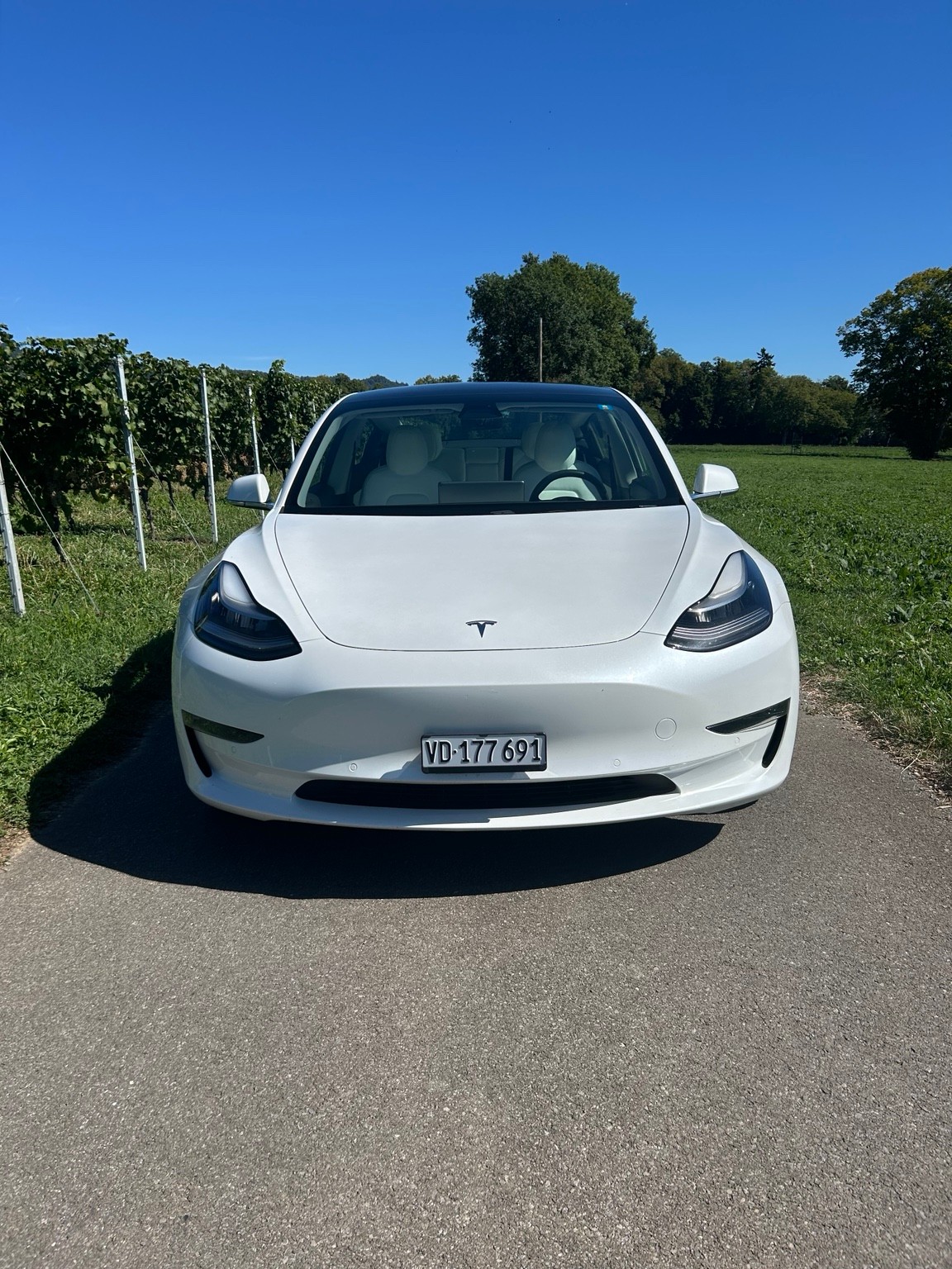 TESLA Performance Dual Motor AWD / FSD-image-3