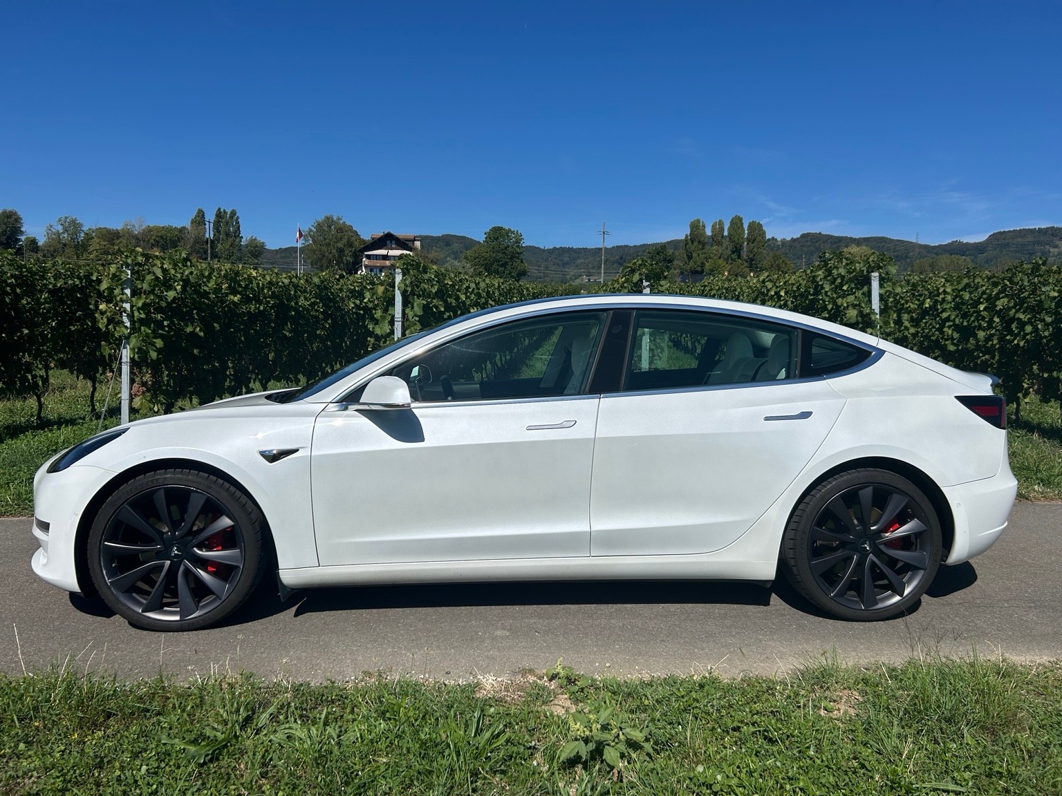 TESLA Performance Dual Motor AWD / FSD-image-2