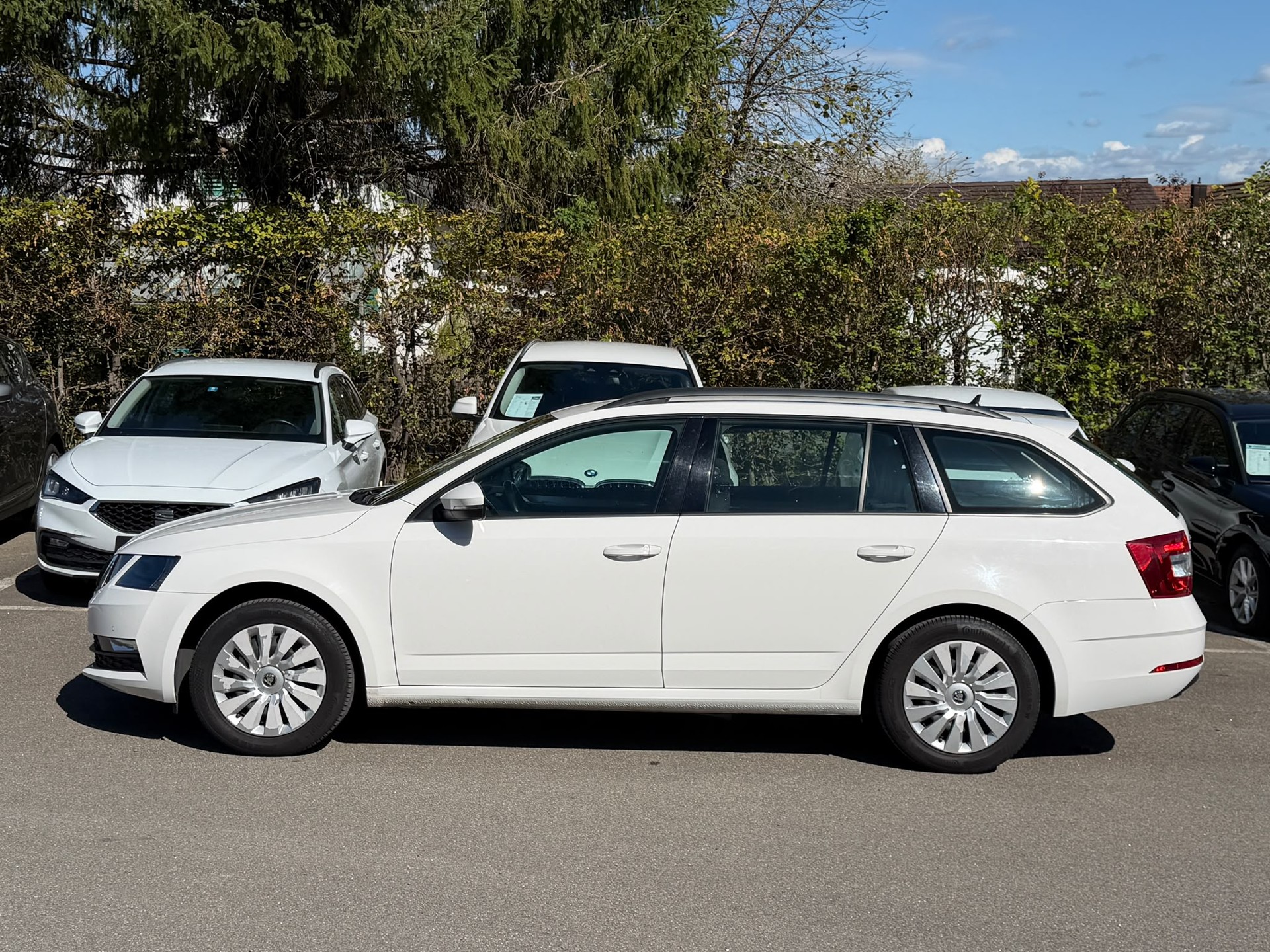 SKODA Octavia Combi 1.5 TSI Ambition DSG-image-7