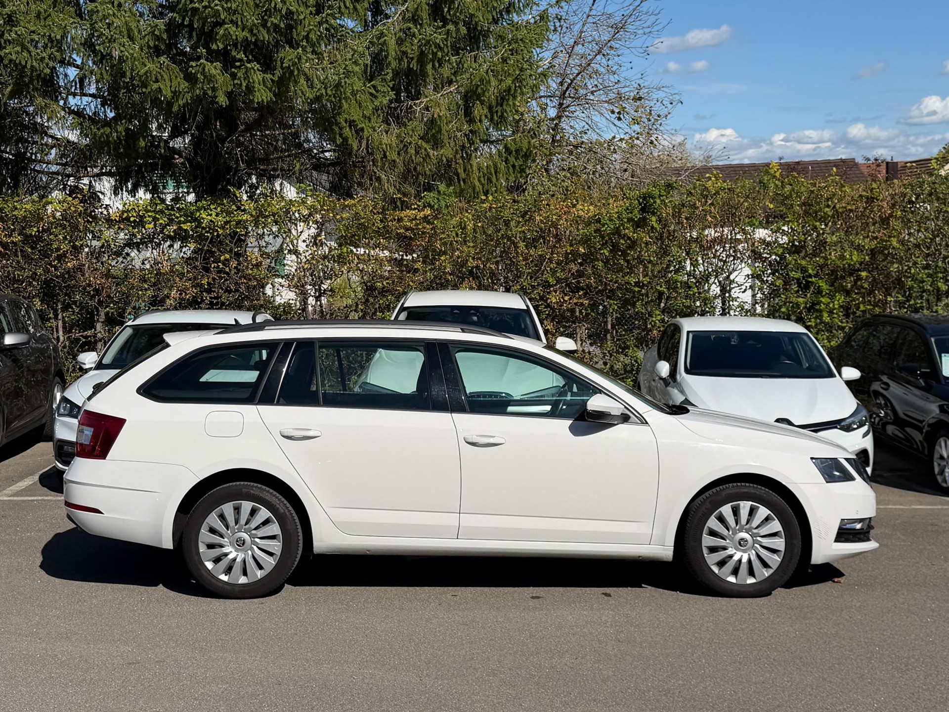 SKODA Octavia Combi 1.5 TSI Ambition DSG-image-3