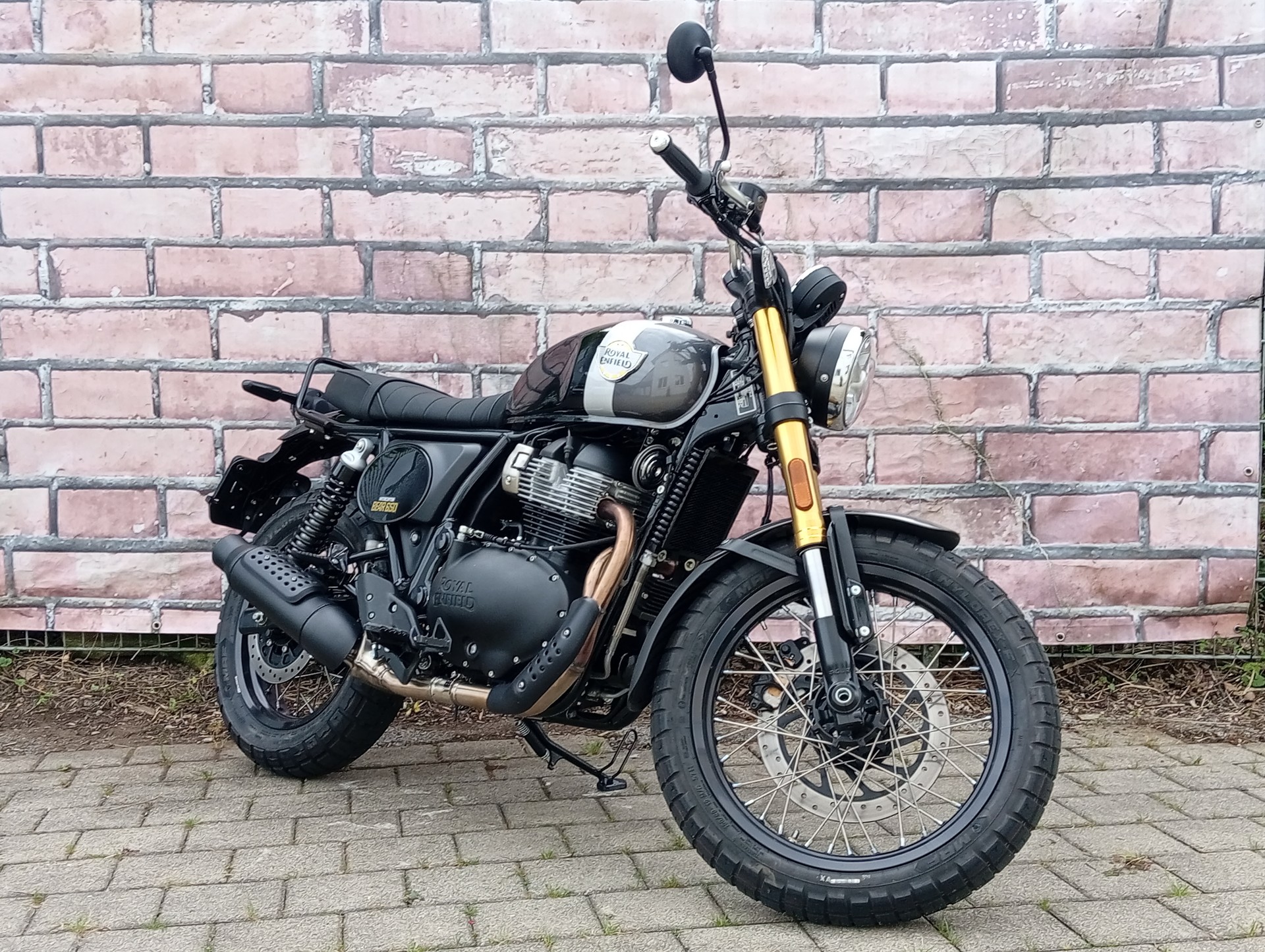ROYAL ENFIELD Bear 650 Mid-image-2