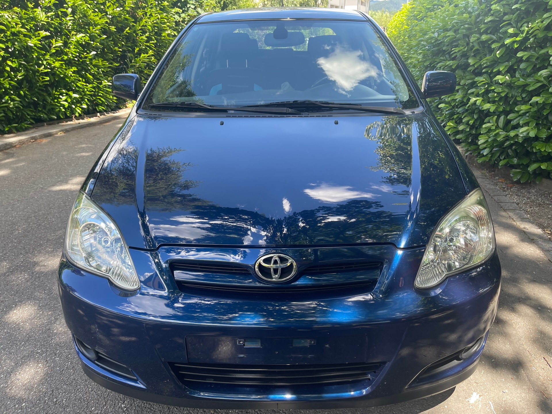 TOYOTA Corolla 1.6 Linea Terra-image-3