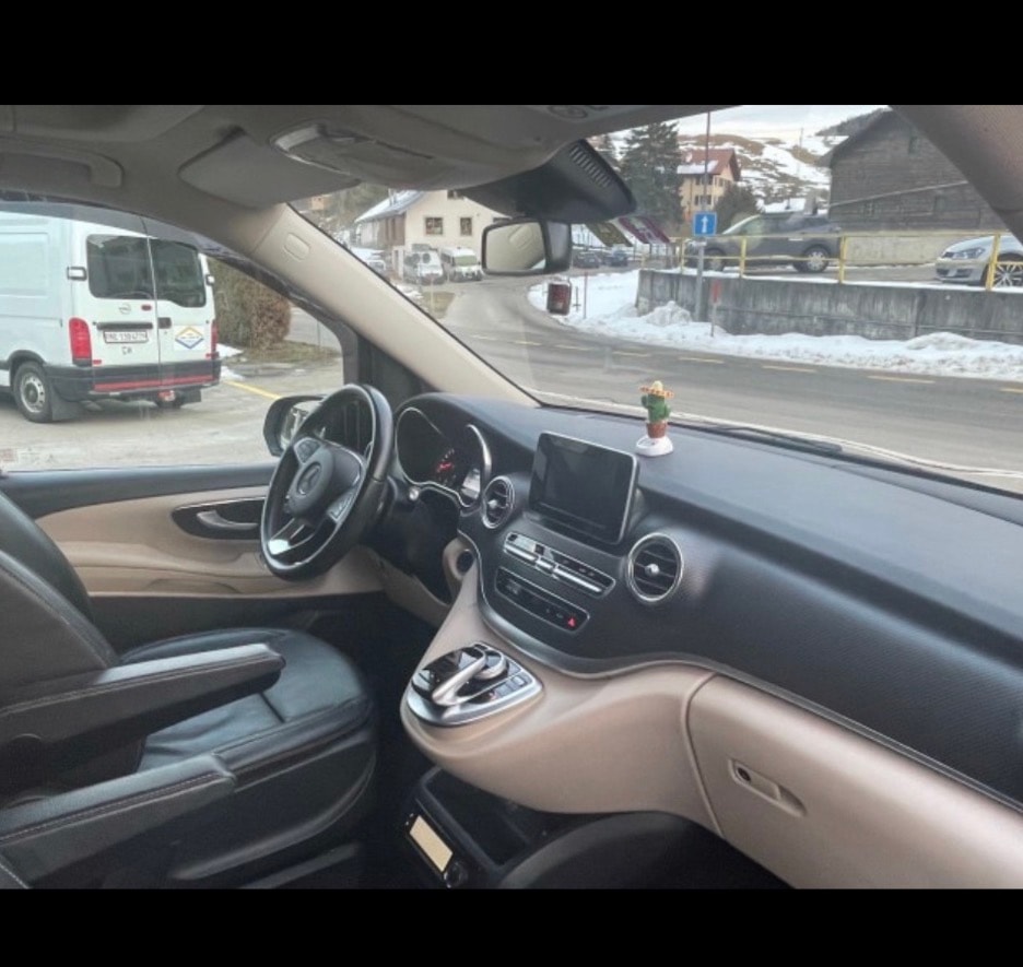 MERCEDES-BENZ 250 d-image-2