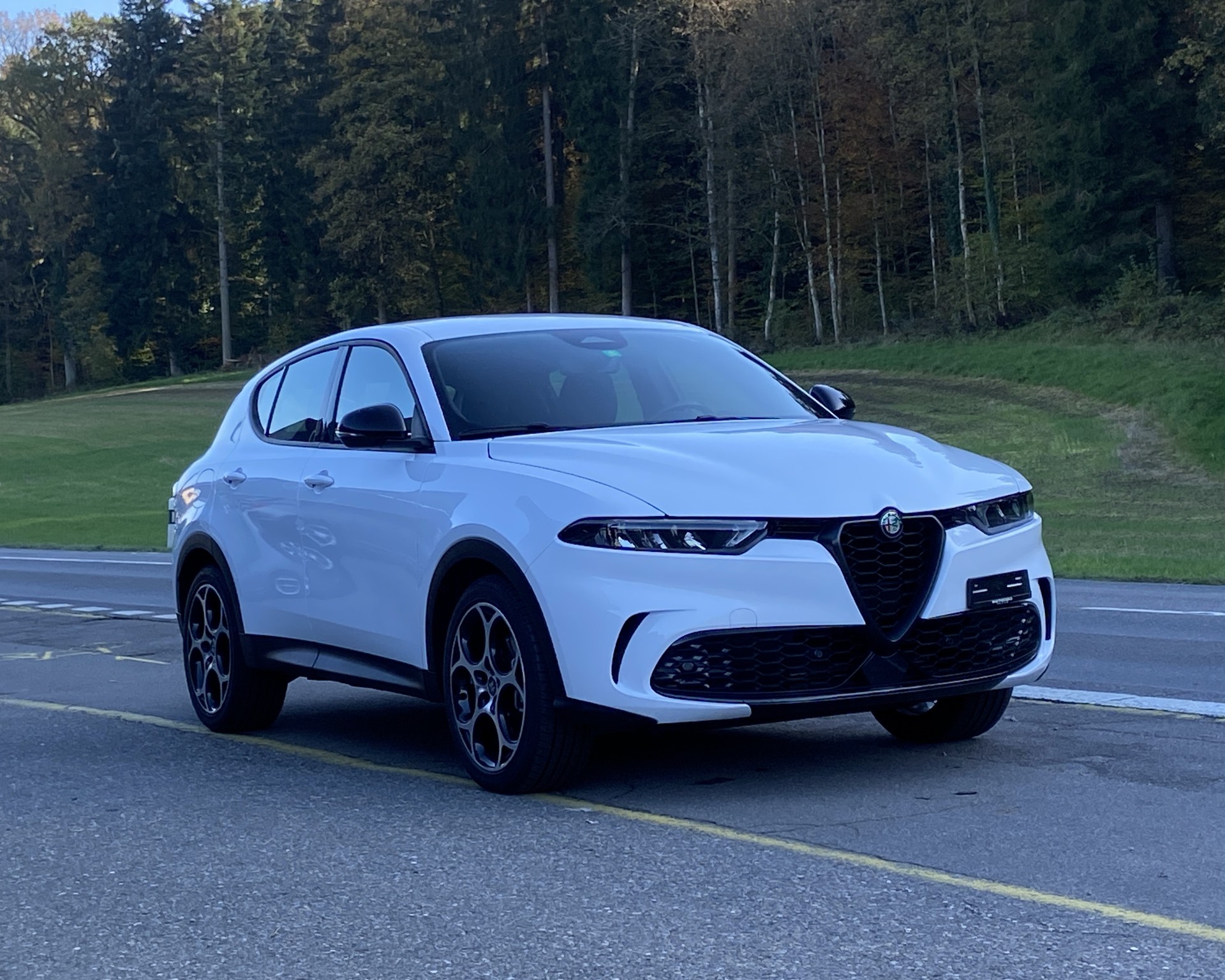 ALFA ROMEO Tonale 1.5 48V Hybrid Sprint Pack Premium-image-19