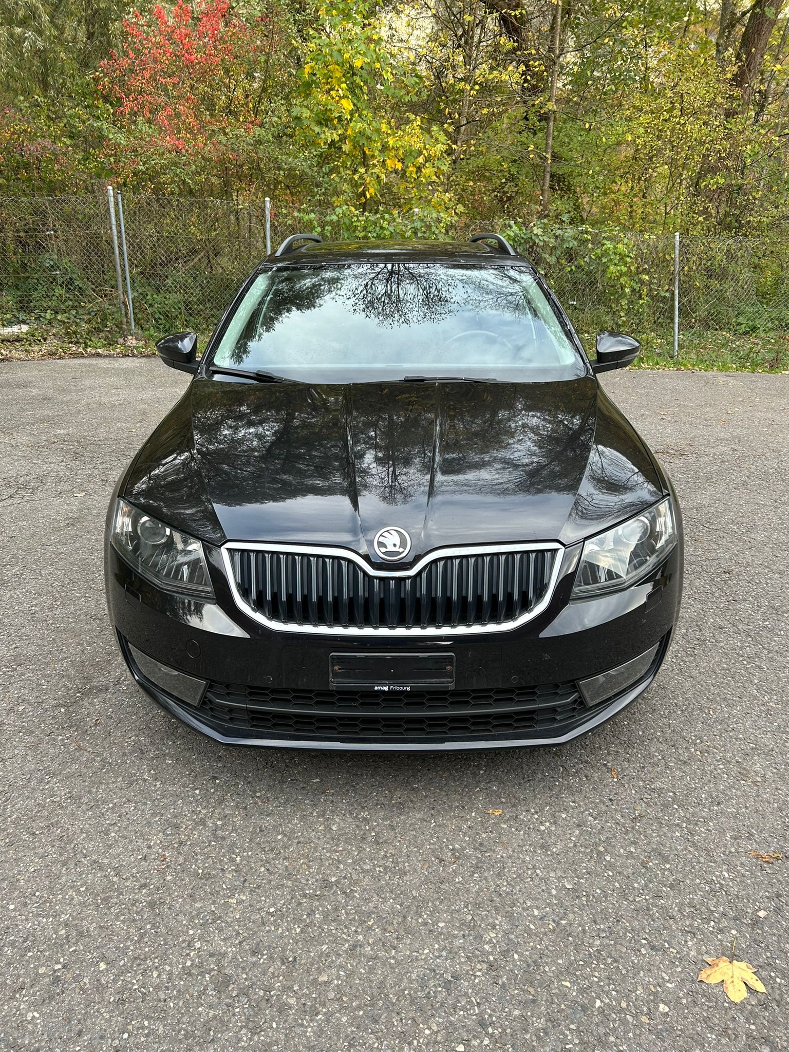 SKODA Octavia Combi 1.6 TDI Elegance-image-6