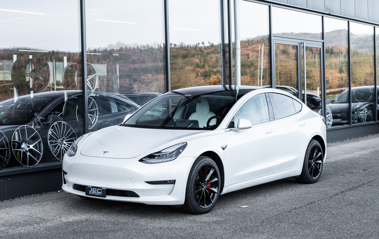 TESLA Model 3 Perform. Dual AWD-showroom-element-1