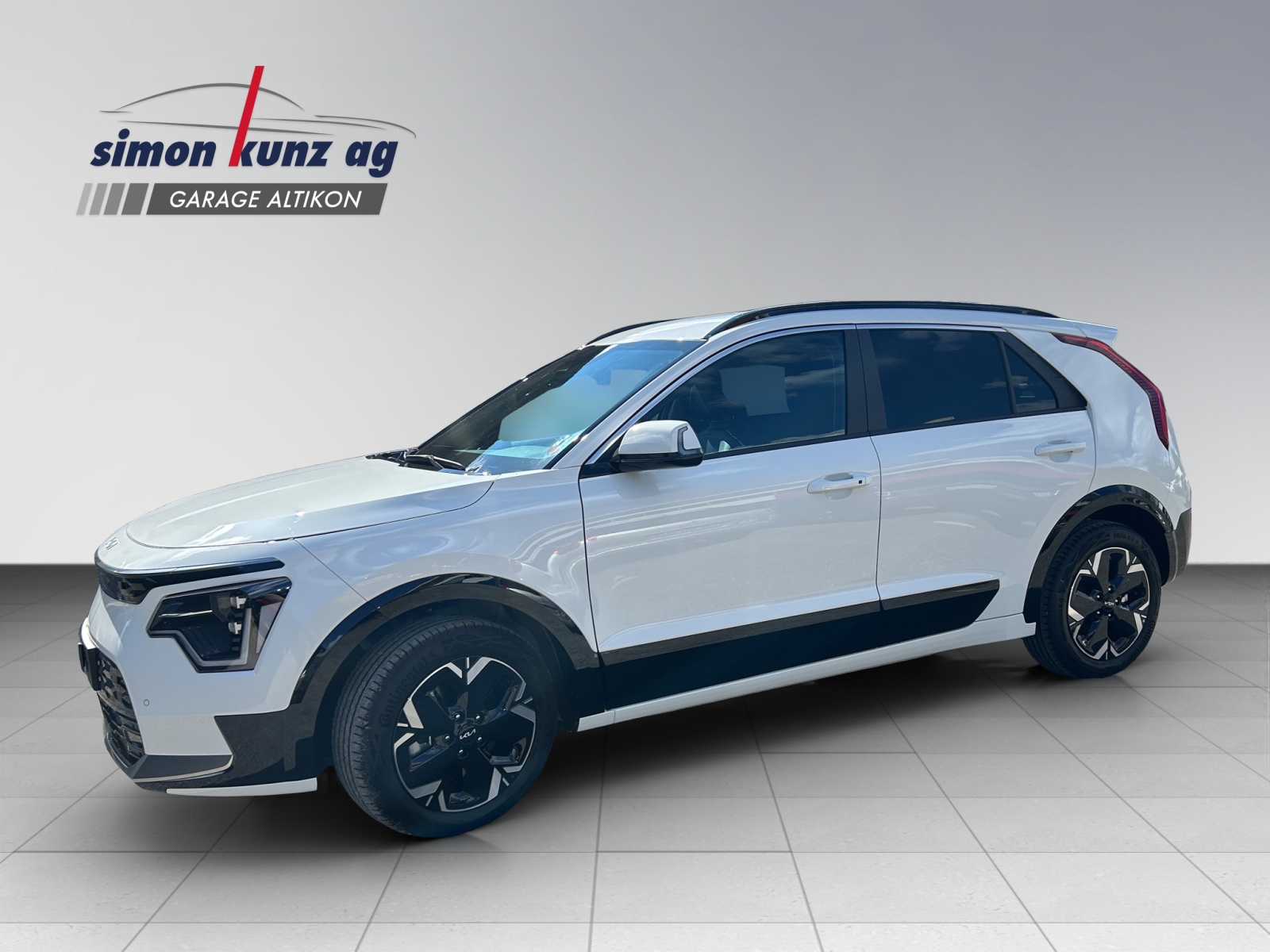 KIA Niro EV Business