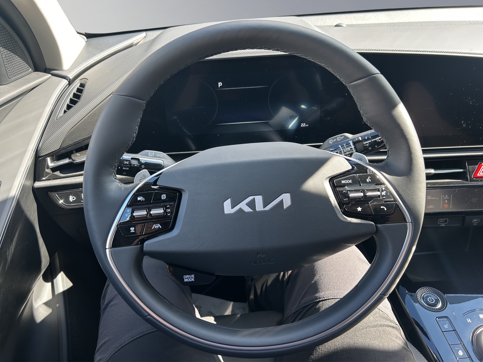 KIA Niro EV Business-image-9