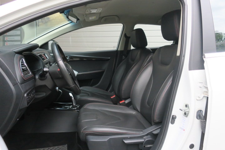 JAC e-S2 Luxury mit Batterie-image-6