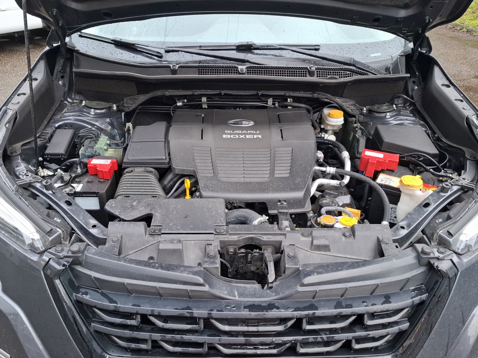 SUBARU Forester 2.0i e Advantage-image-10