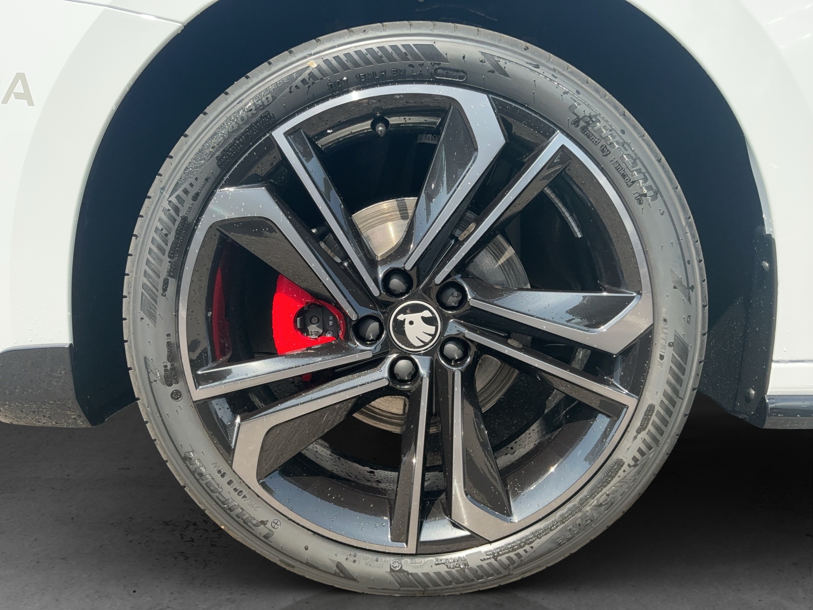 SKODA Fabia 1.5 TSI Motorsport DSG-image-12