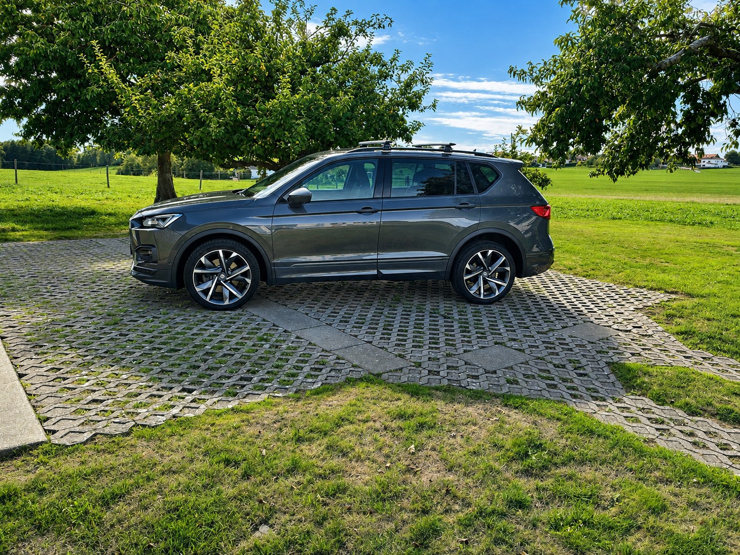 SEAT 2.0 TSI Hola FR 4Drive DSG-image-0